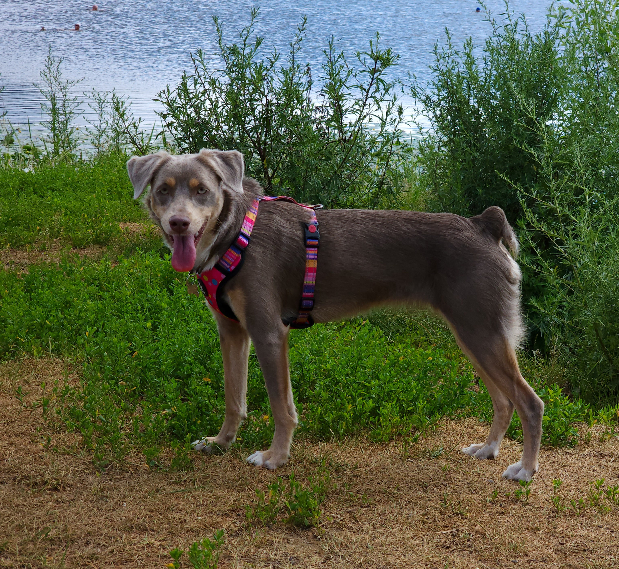 Репортажное фото фотопрогулка