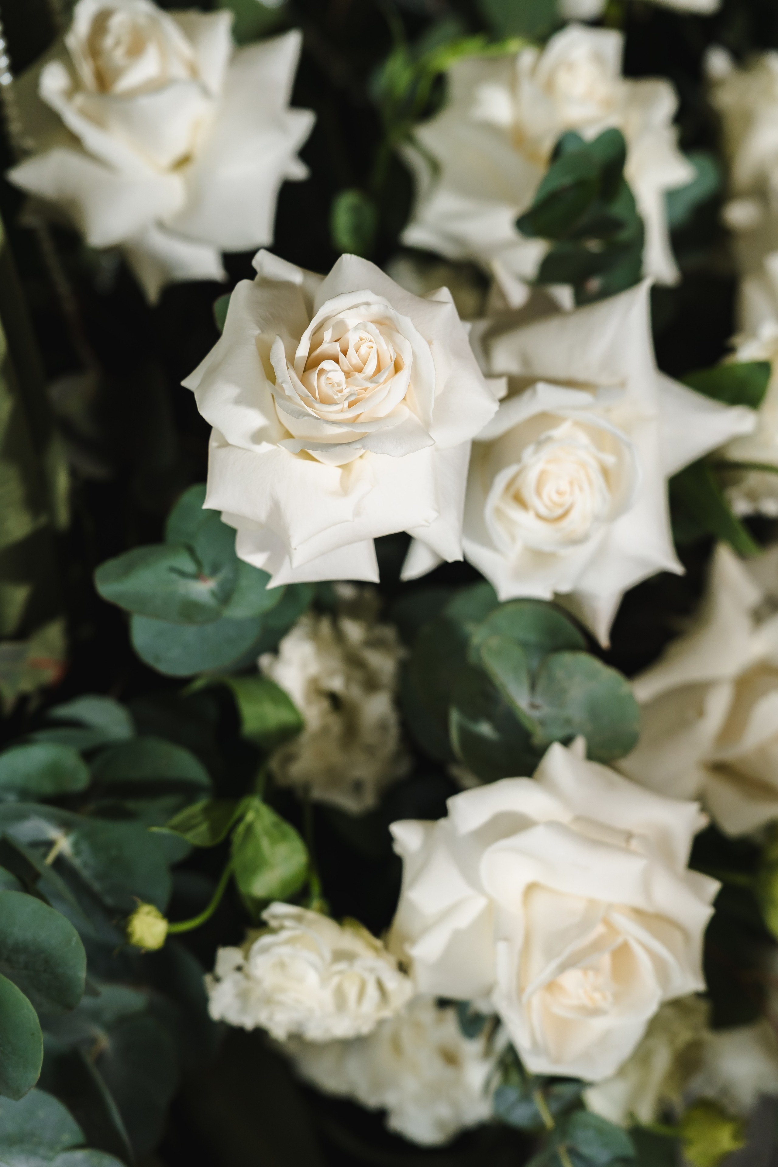 Полина и Данил | 22.06.2025. Свадебный фотограф в Москве Яна Деньгина