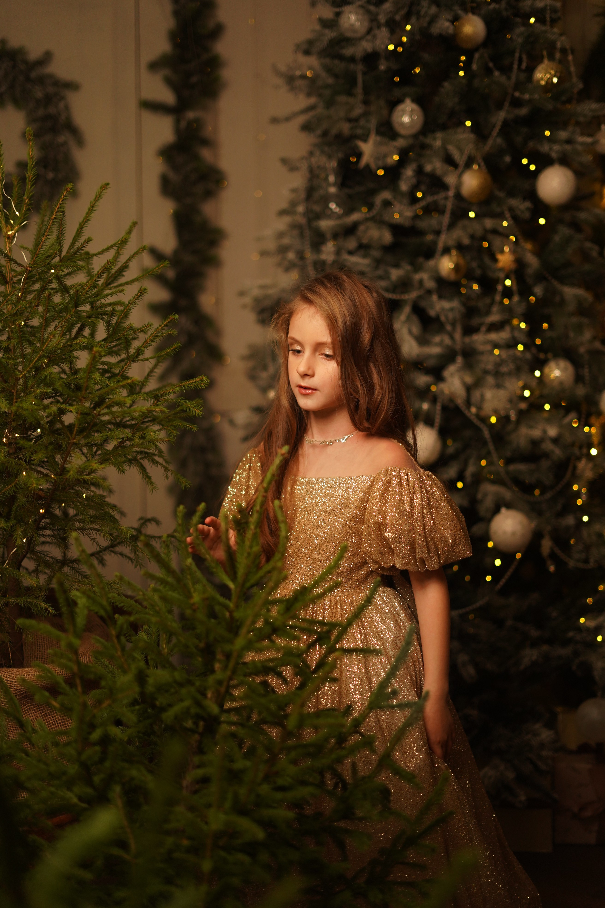 Волшебная ночь. Фотограф Татьяна Митрофанова