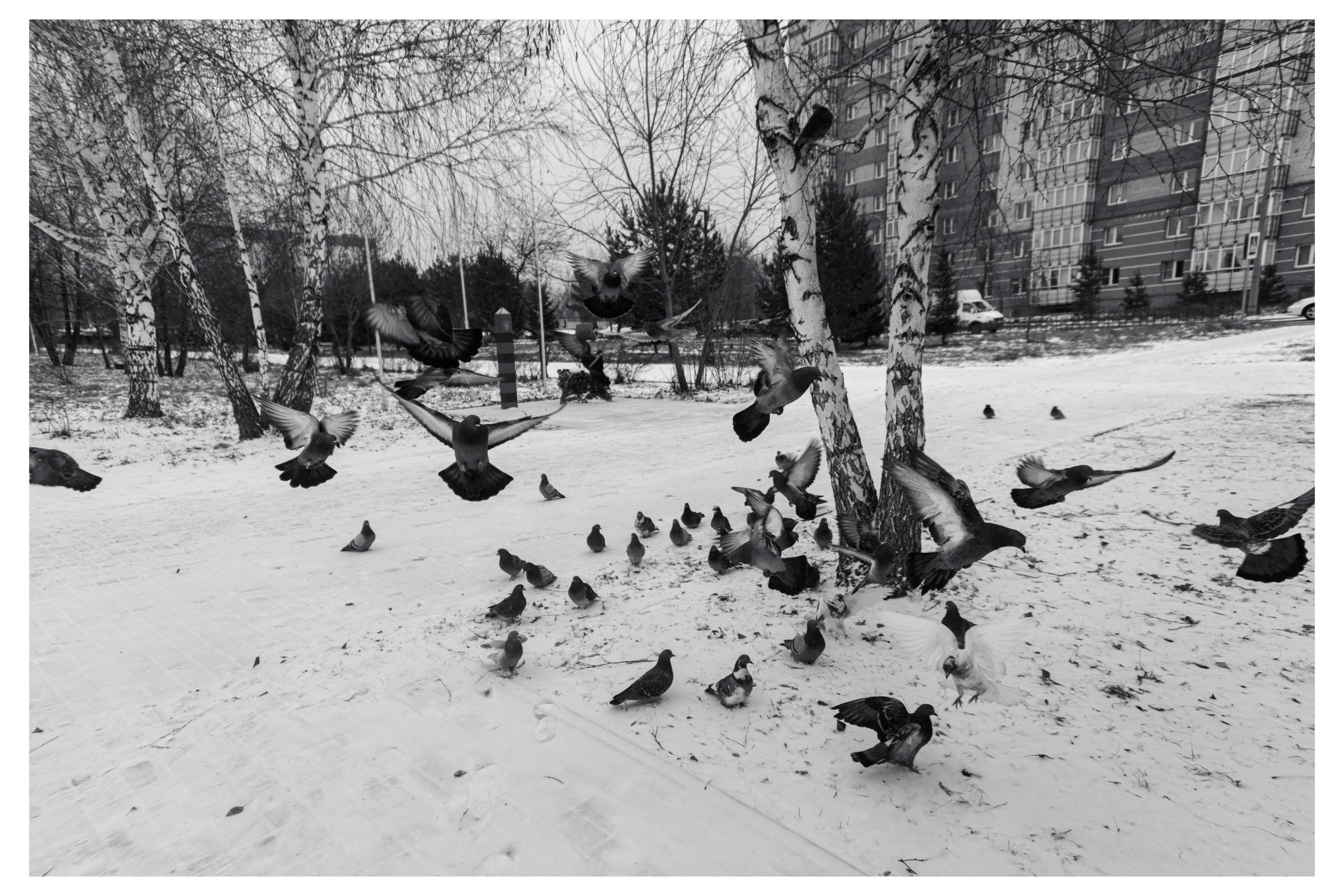 14.11.2025 | Сосновоборск. Kuznetsov | Фотограф в Красноярске