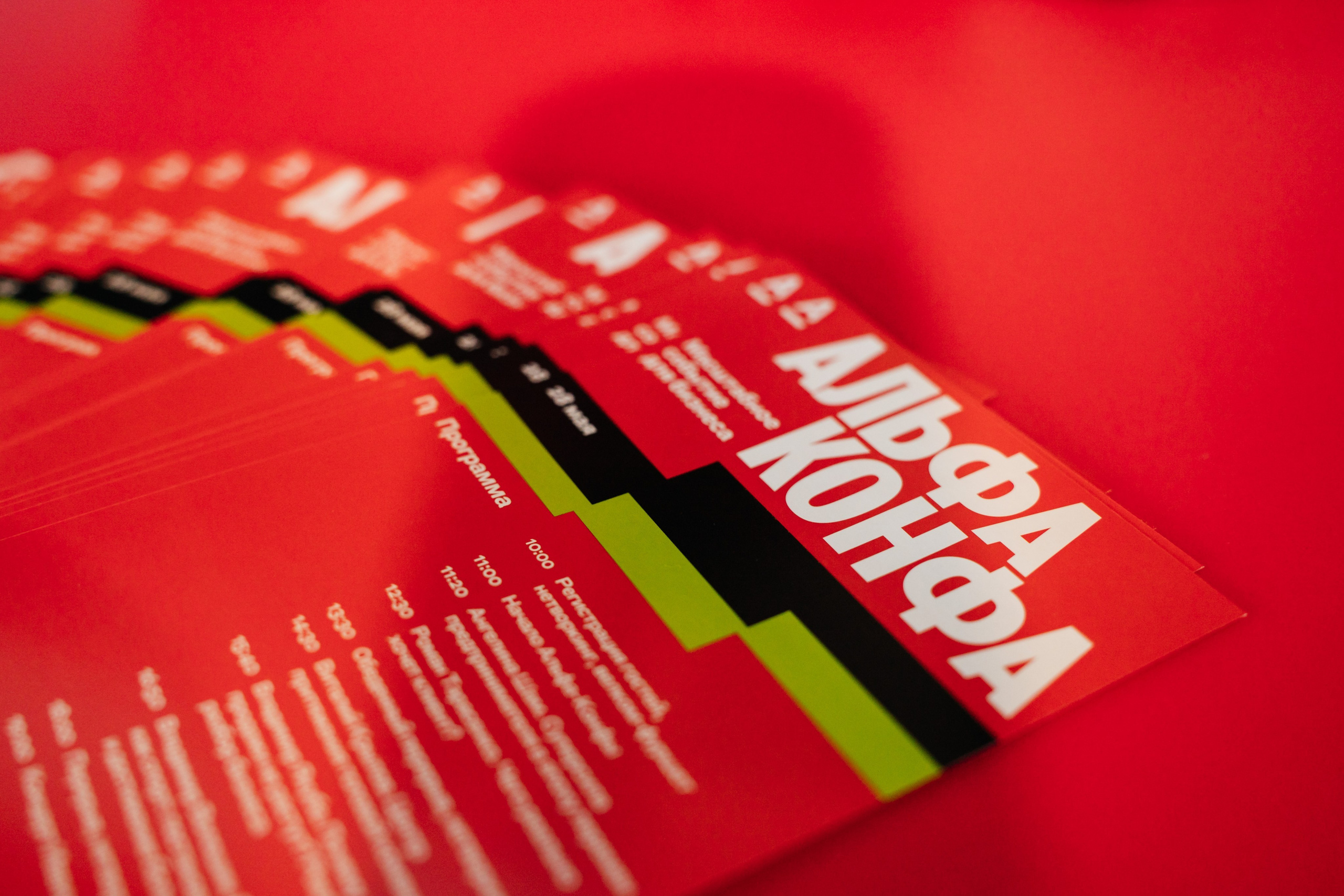 Альфа Конфа в Челябинске. Видеограф и Фотограф в Челябинске Ксения и Владимир Рюмины