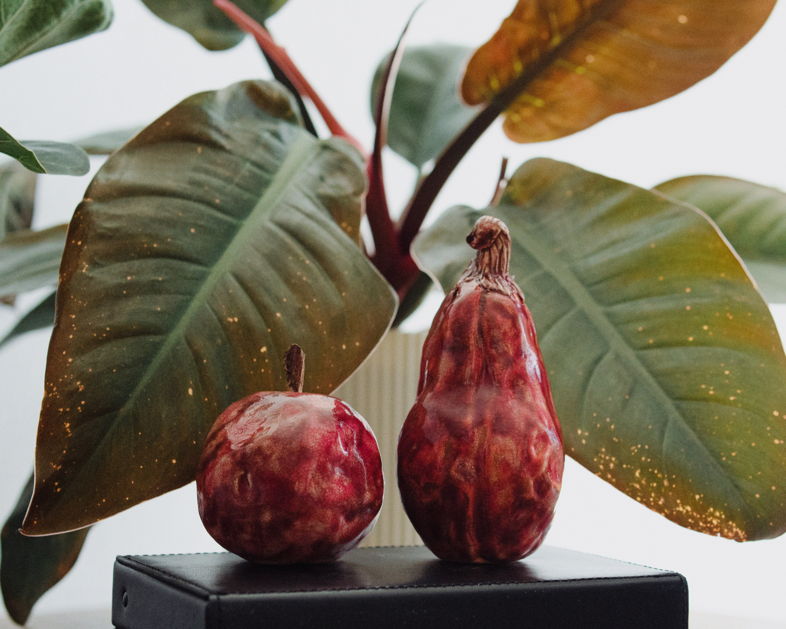 Портфолио. Gabriel Ceramics — Керамика ручной работы