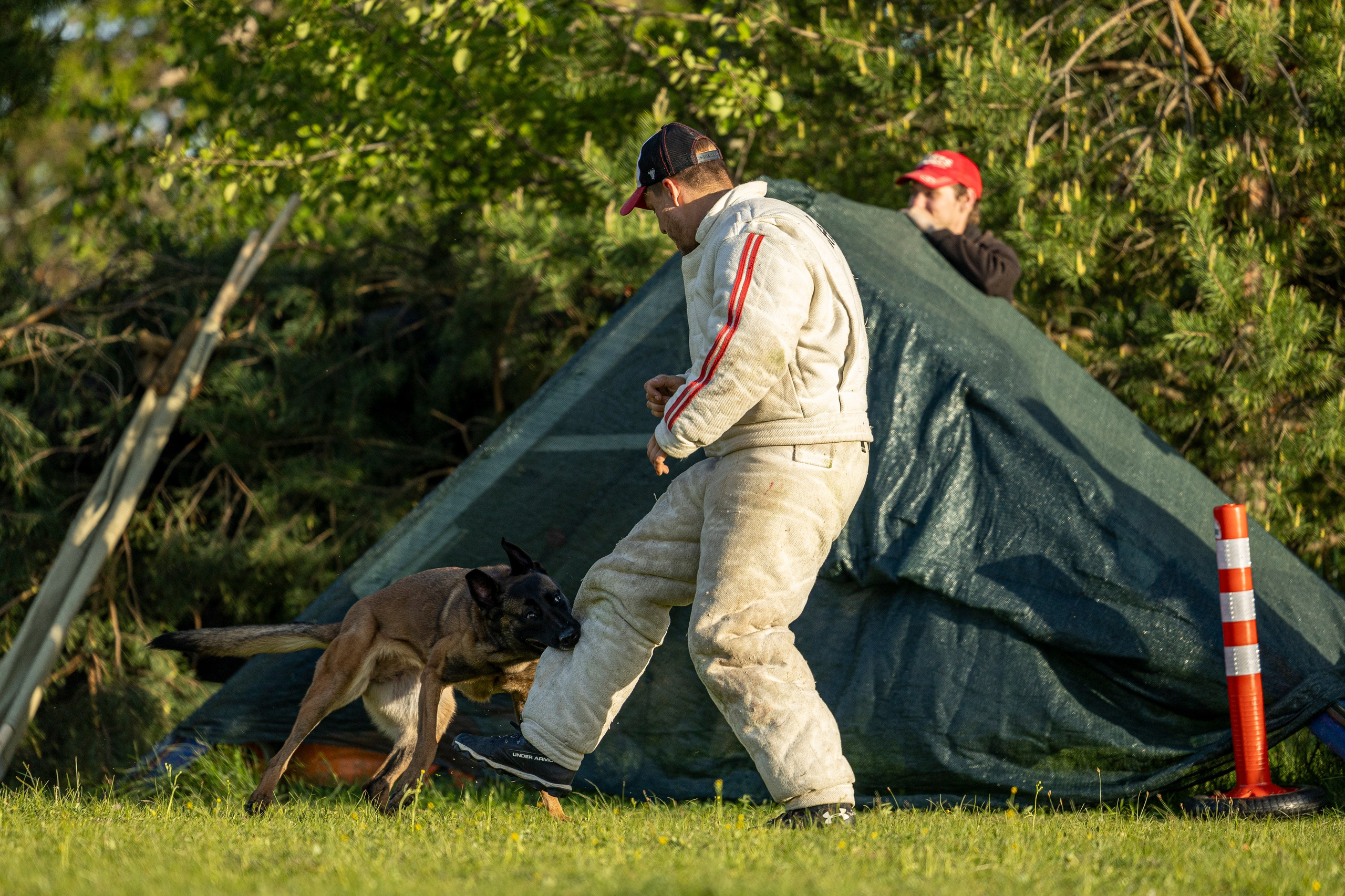 Испытания по мондьорингу в Нижнем Новгороде. Фотограф-анималист Анна Маринич