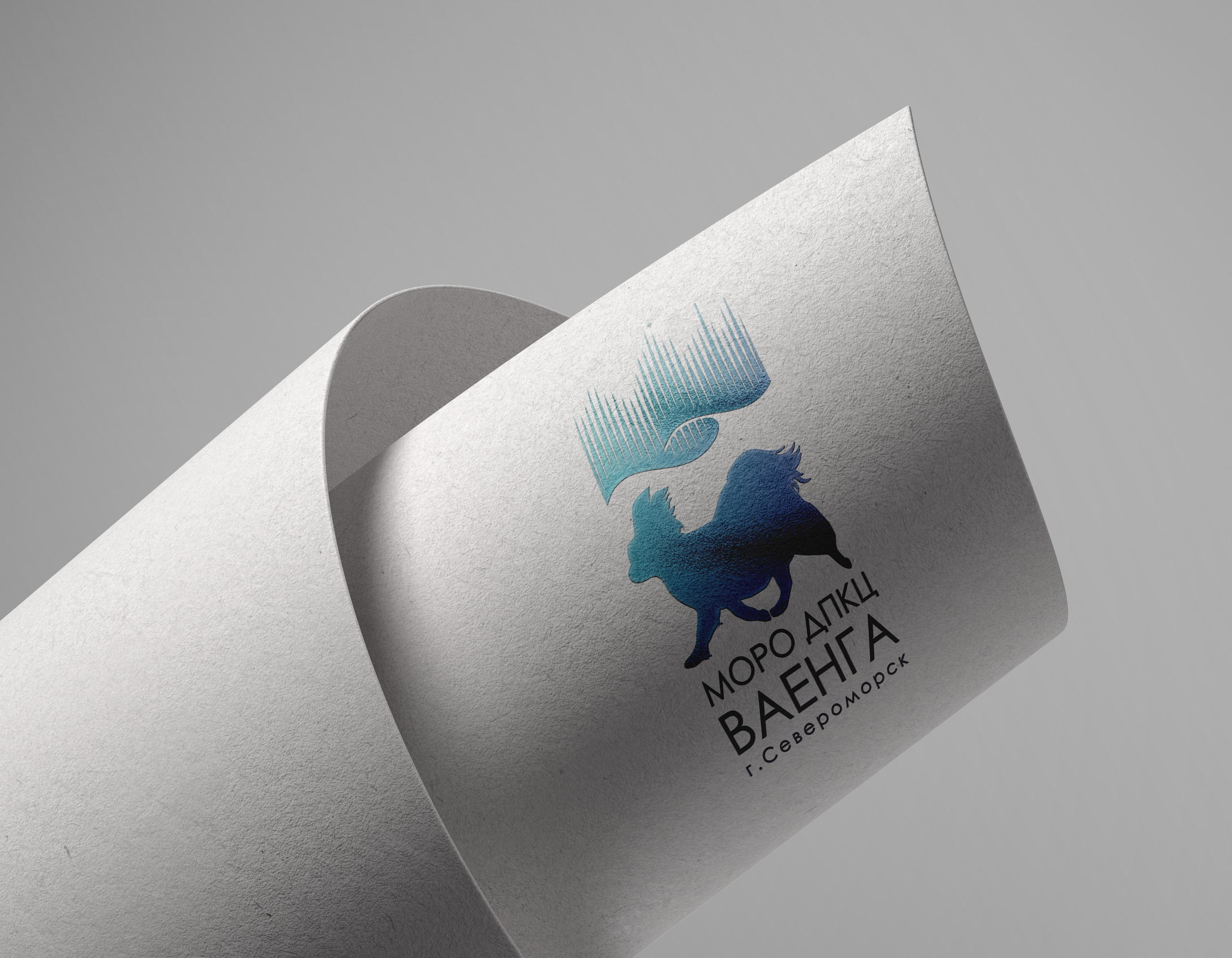 МОРО ДПКЦ ВАЕНГА, г.Североморск