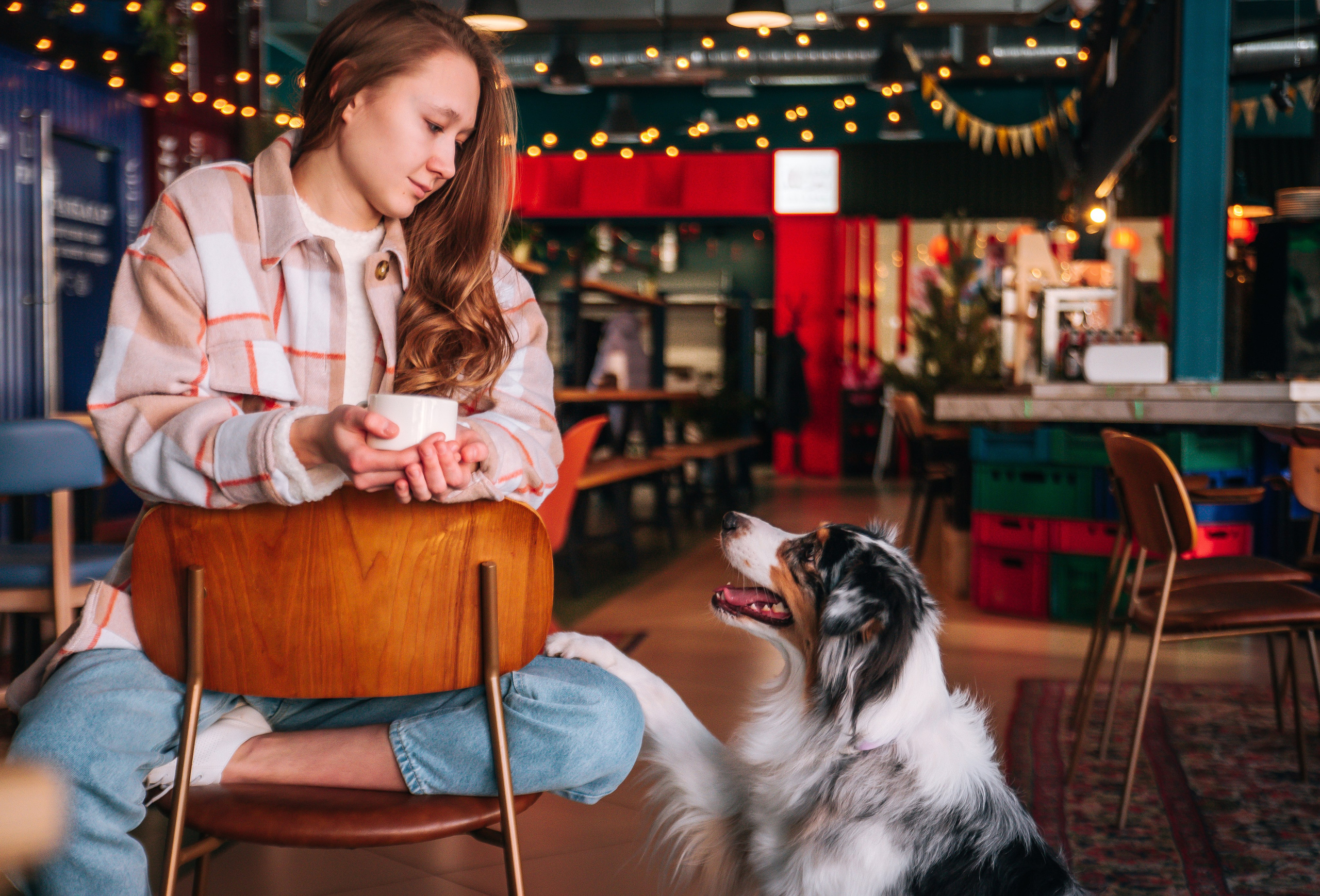 Лиза и Харли в кафе. Главная