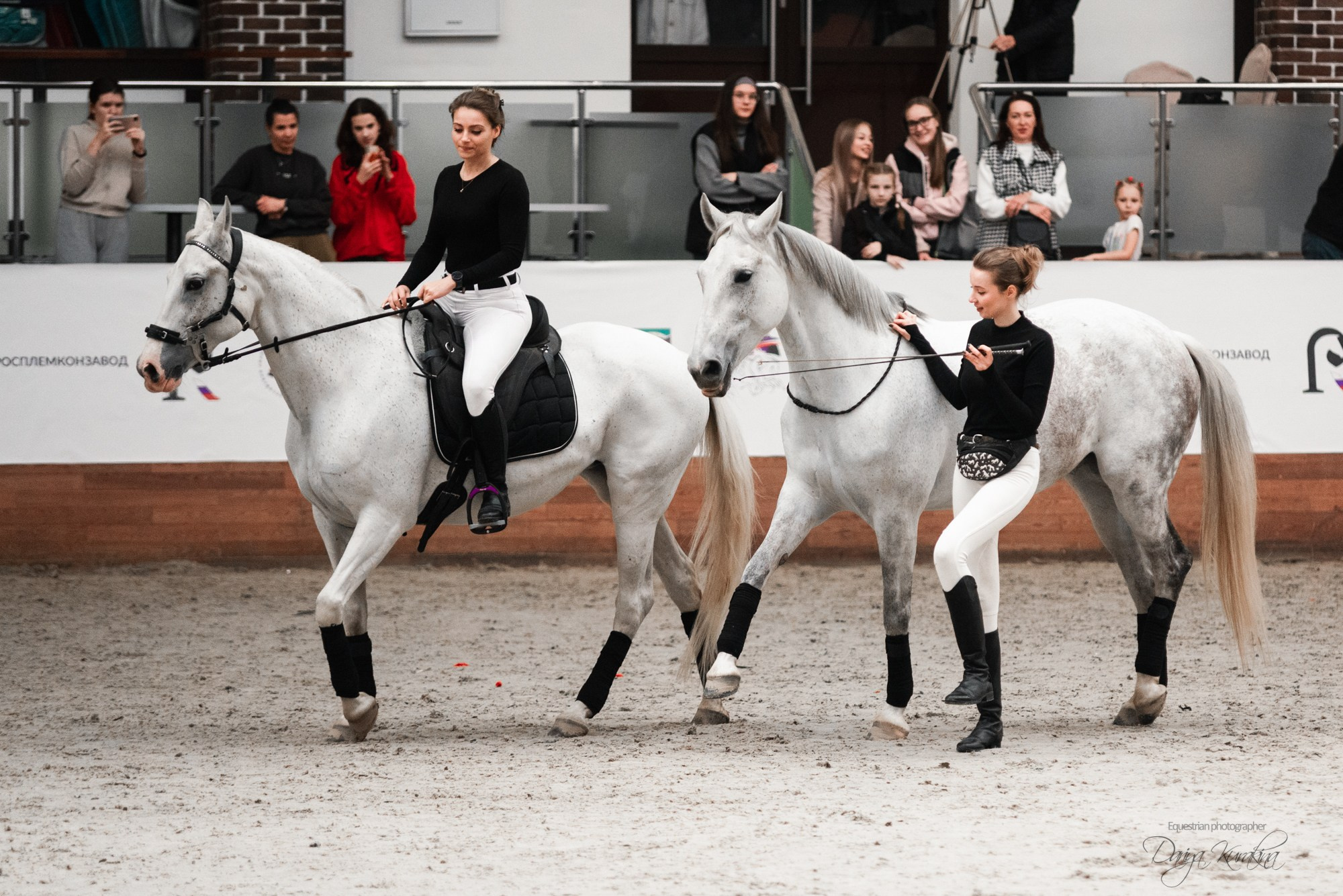 8-я международная выставка Конная Россия. Конный фотограф Куракина Дарья • Фотосессии с лошадьми