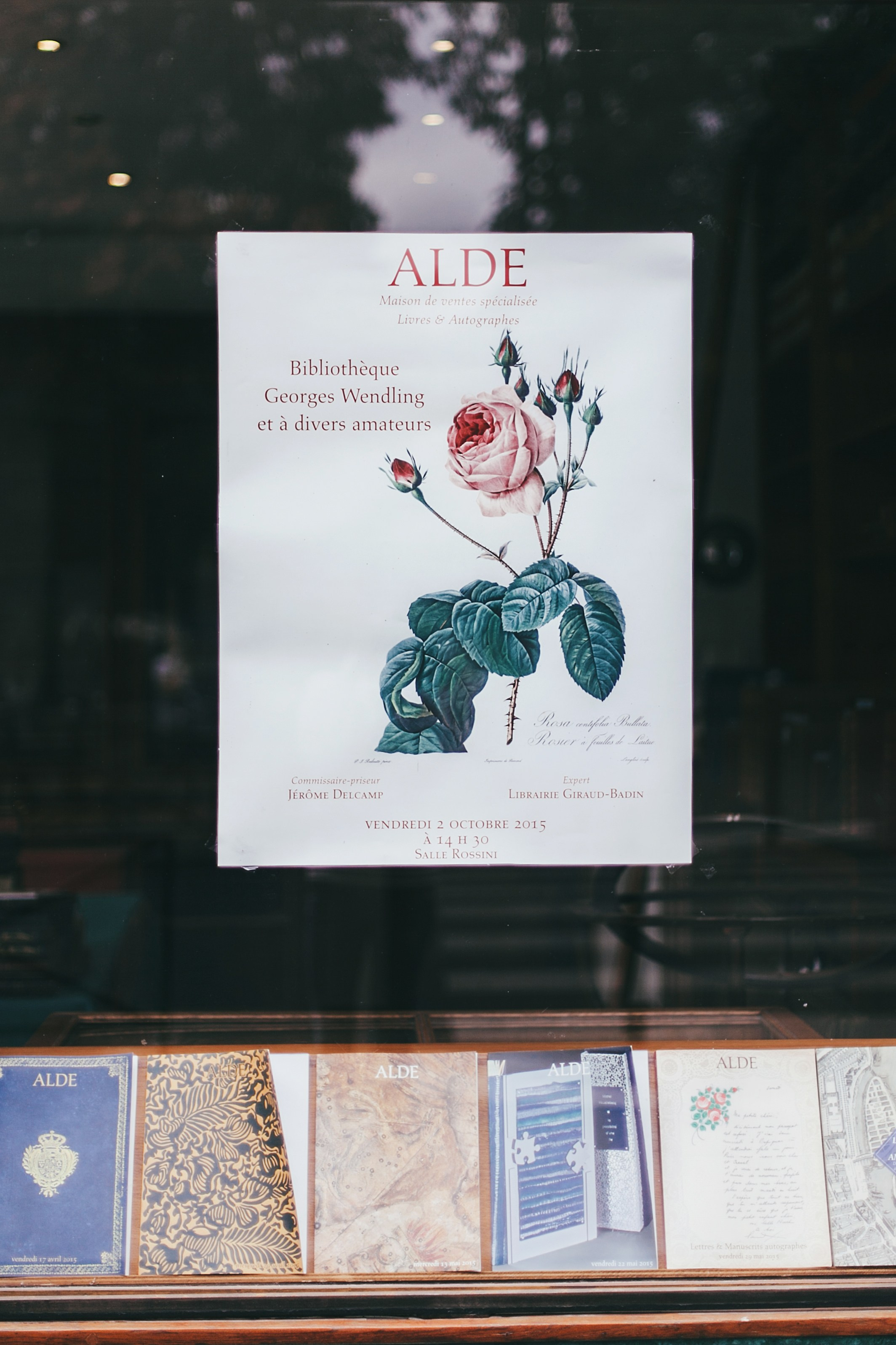 Париж. Аня Степанова