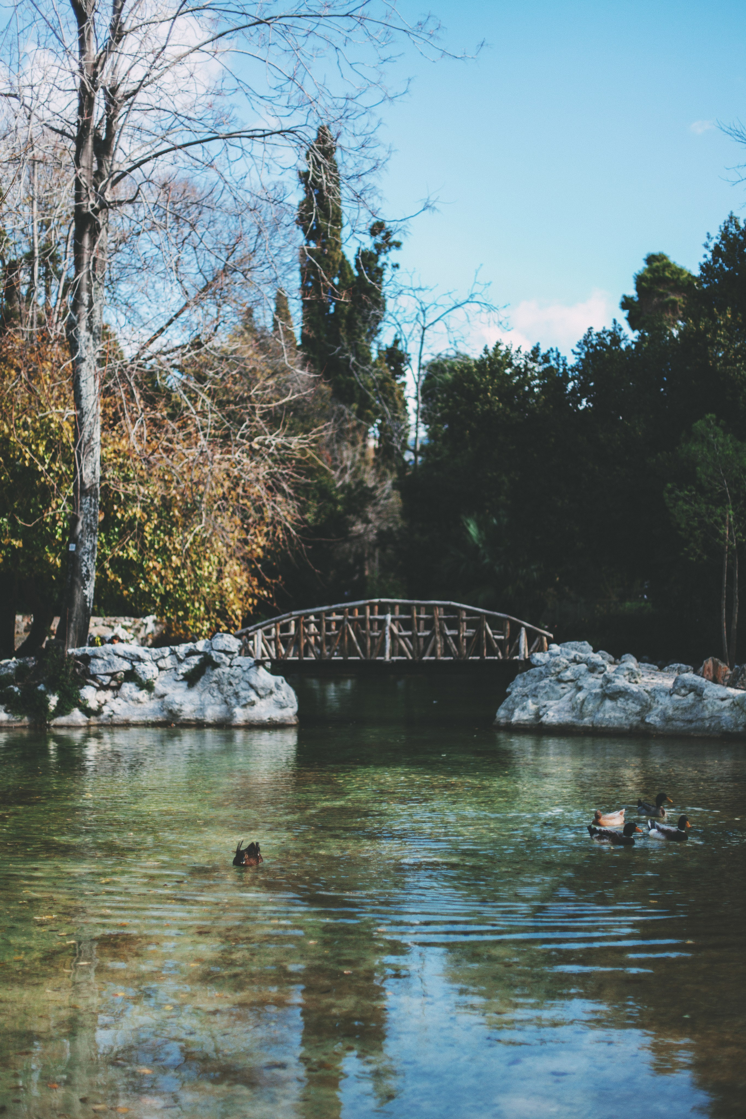 Афины. Аня Степанова