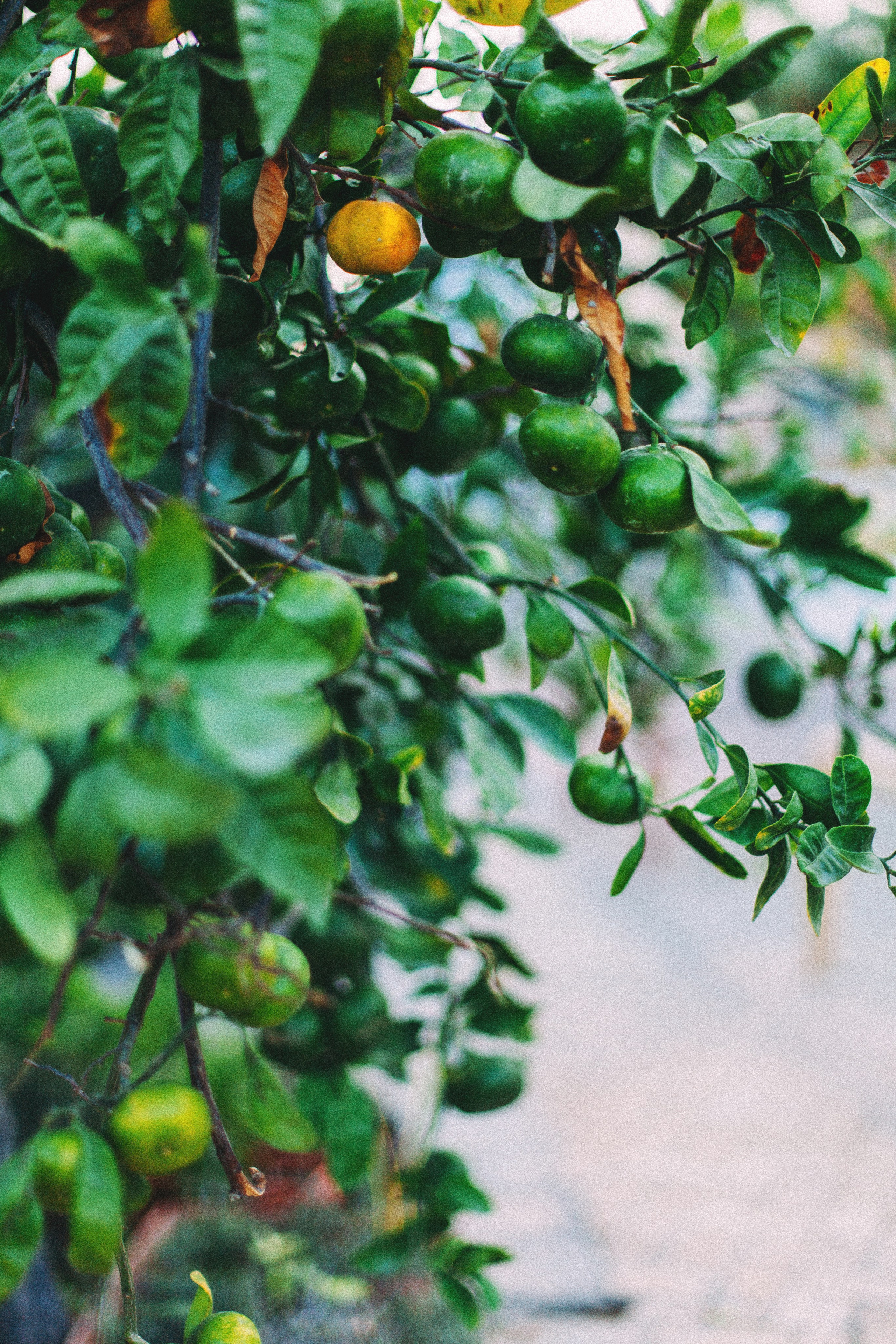 Кипр. Аня Степанова