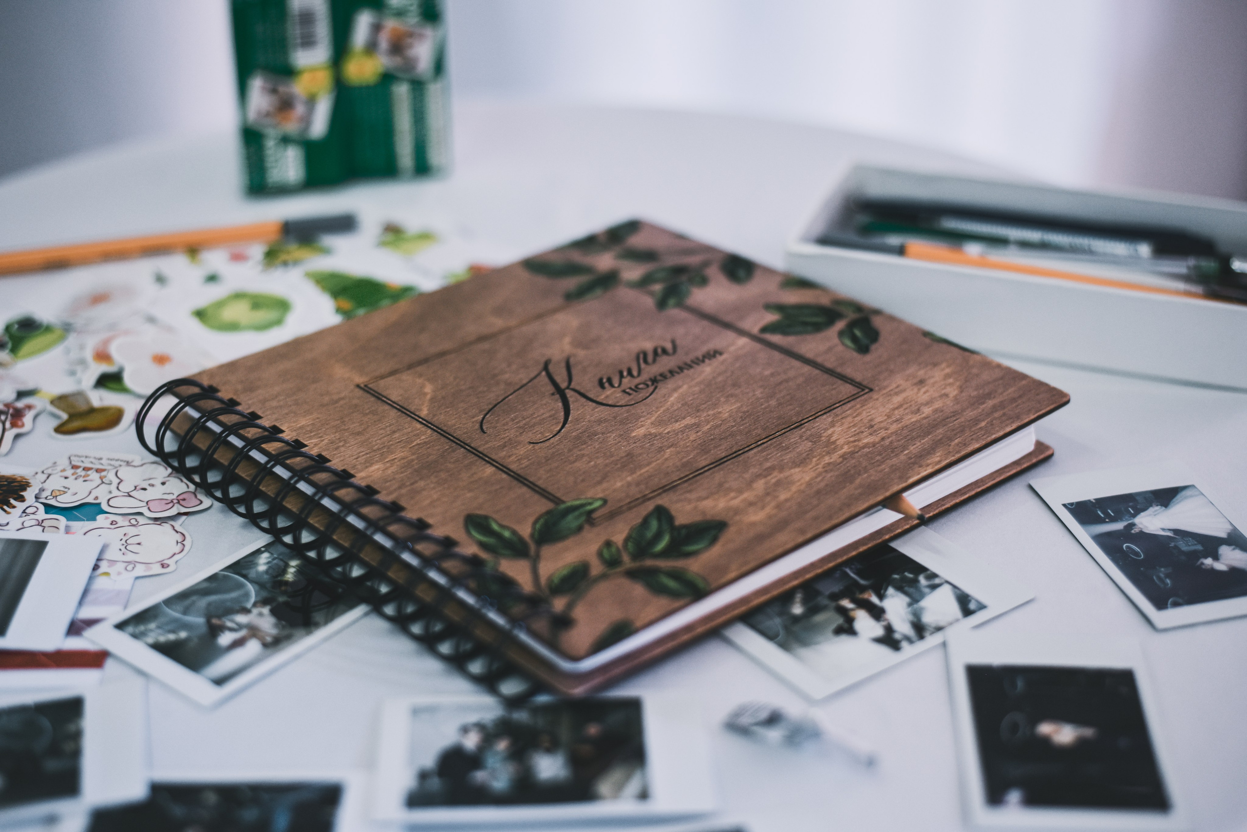 Василиса и Артём. Фотограф Таина Комбарова