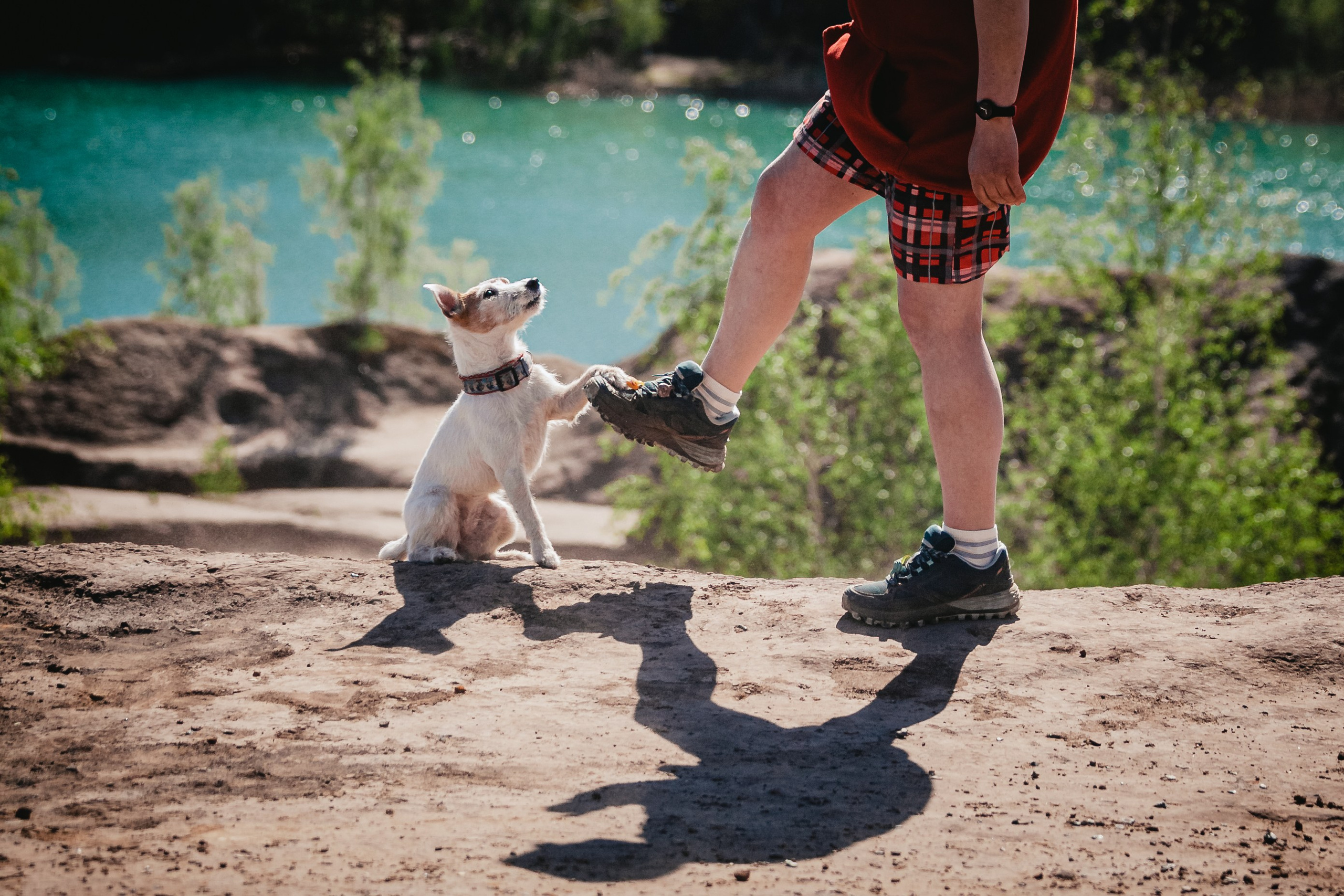 Кондуки. Фотограф-анималист Татьяна Степанова