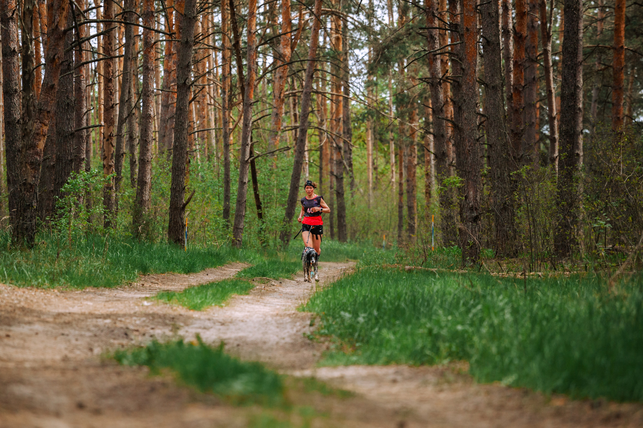 Русский экстрим кросс в Рязанской области 17.05.2025. Фотограф-анималист Татьяна Степанова