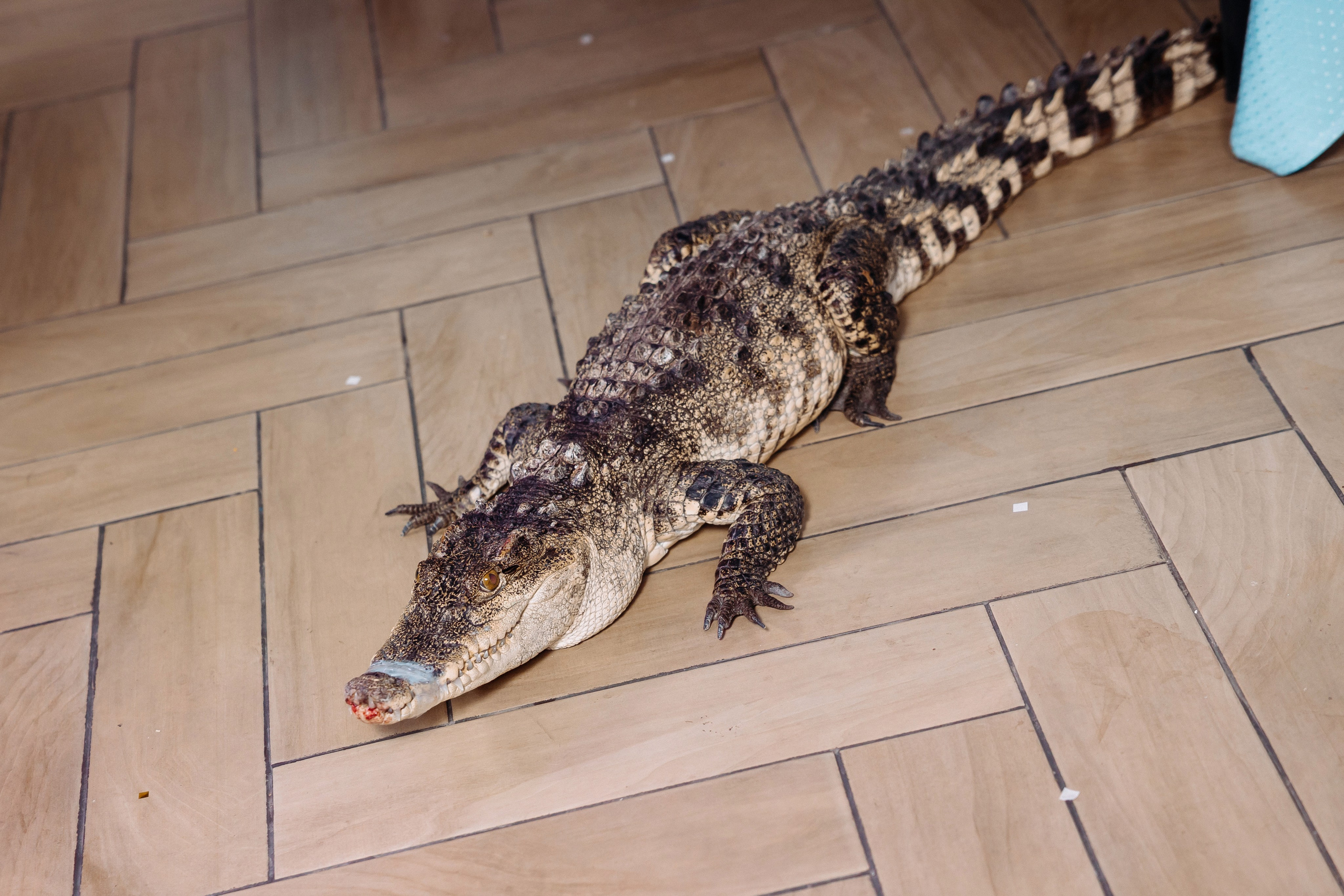 Дни Рождения. Фотограф в Санкт-Петербурге Кирюшенков Андрей