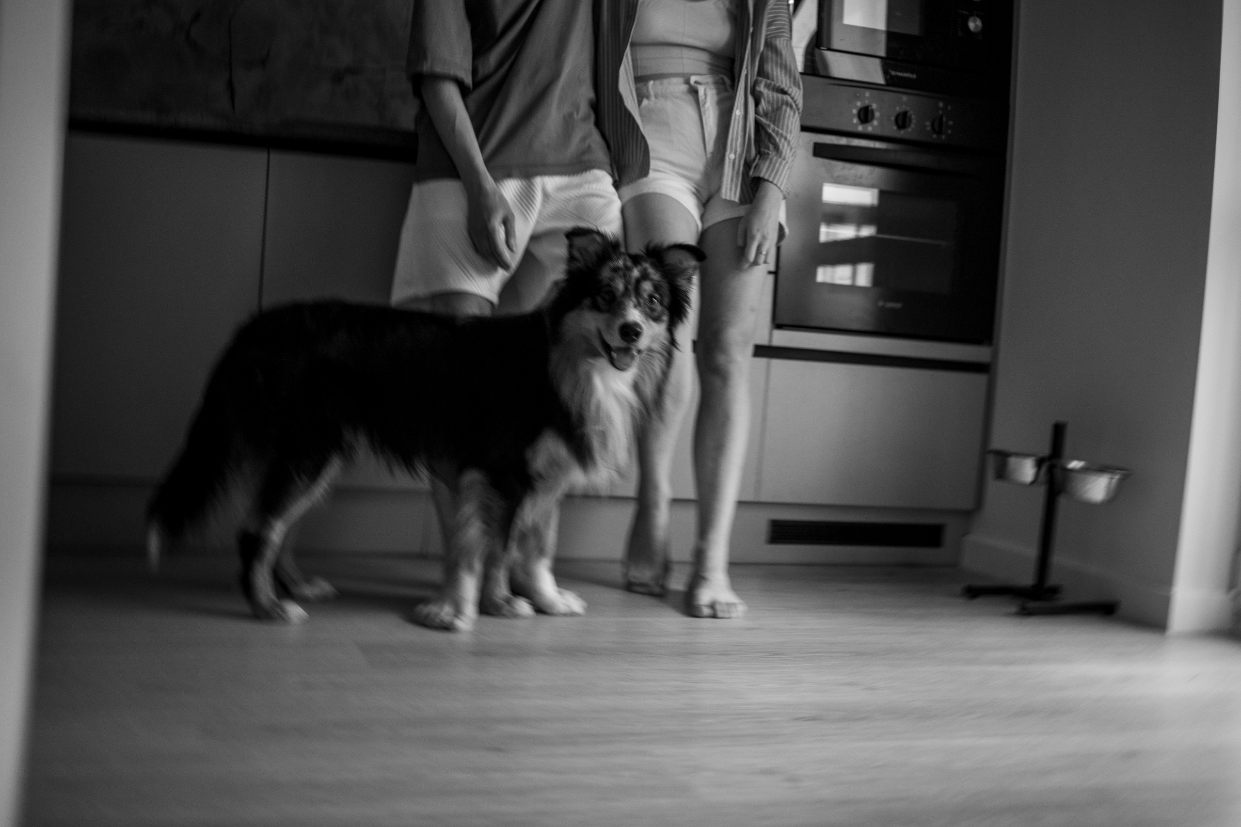 Настя, Никита и их Гром и Мяу. Фотограф — Анималист | Санкт-Петербург