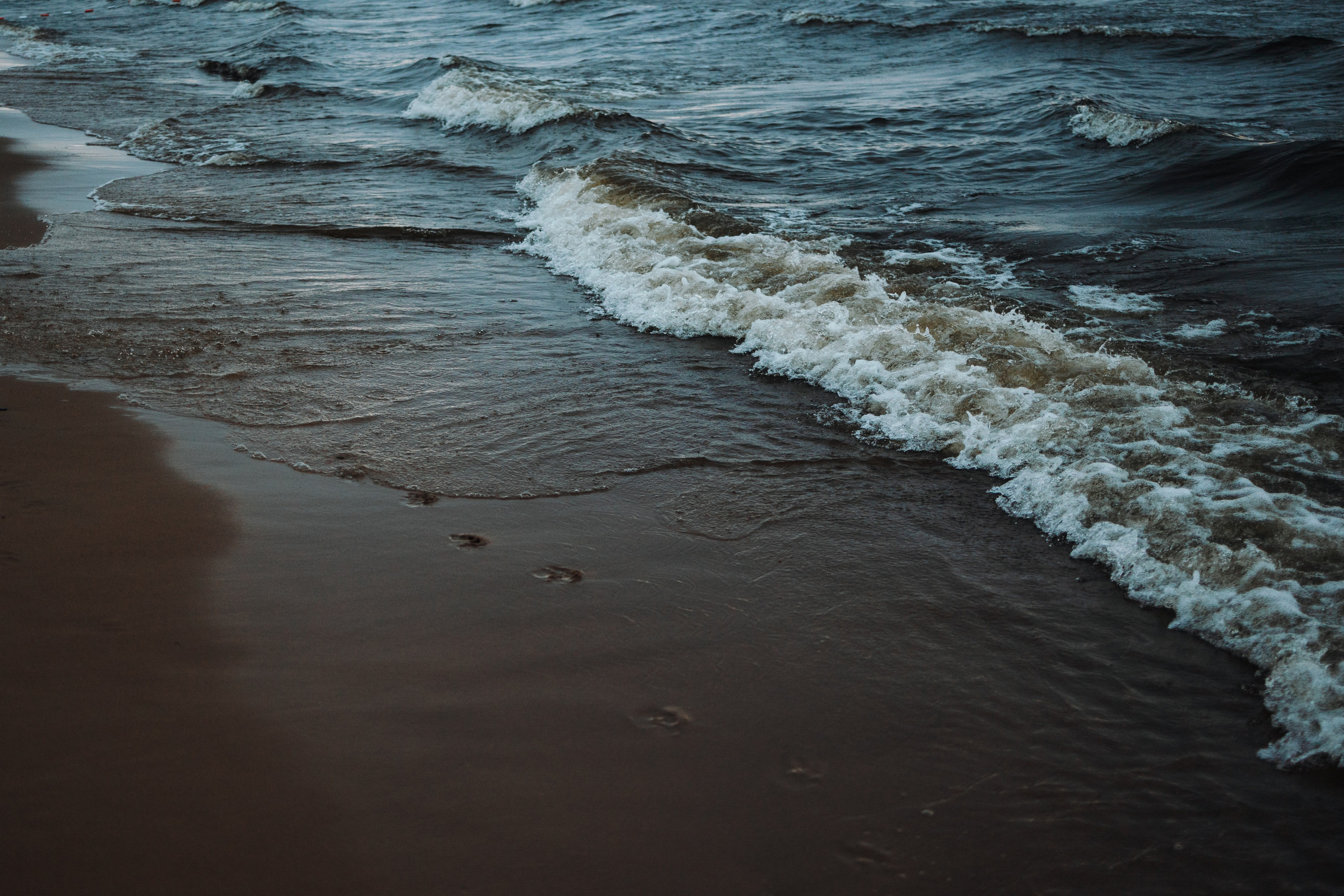 Катя и Агат. Фотограф — Анималист | Санкт-Петербург