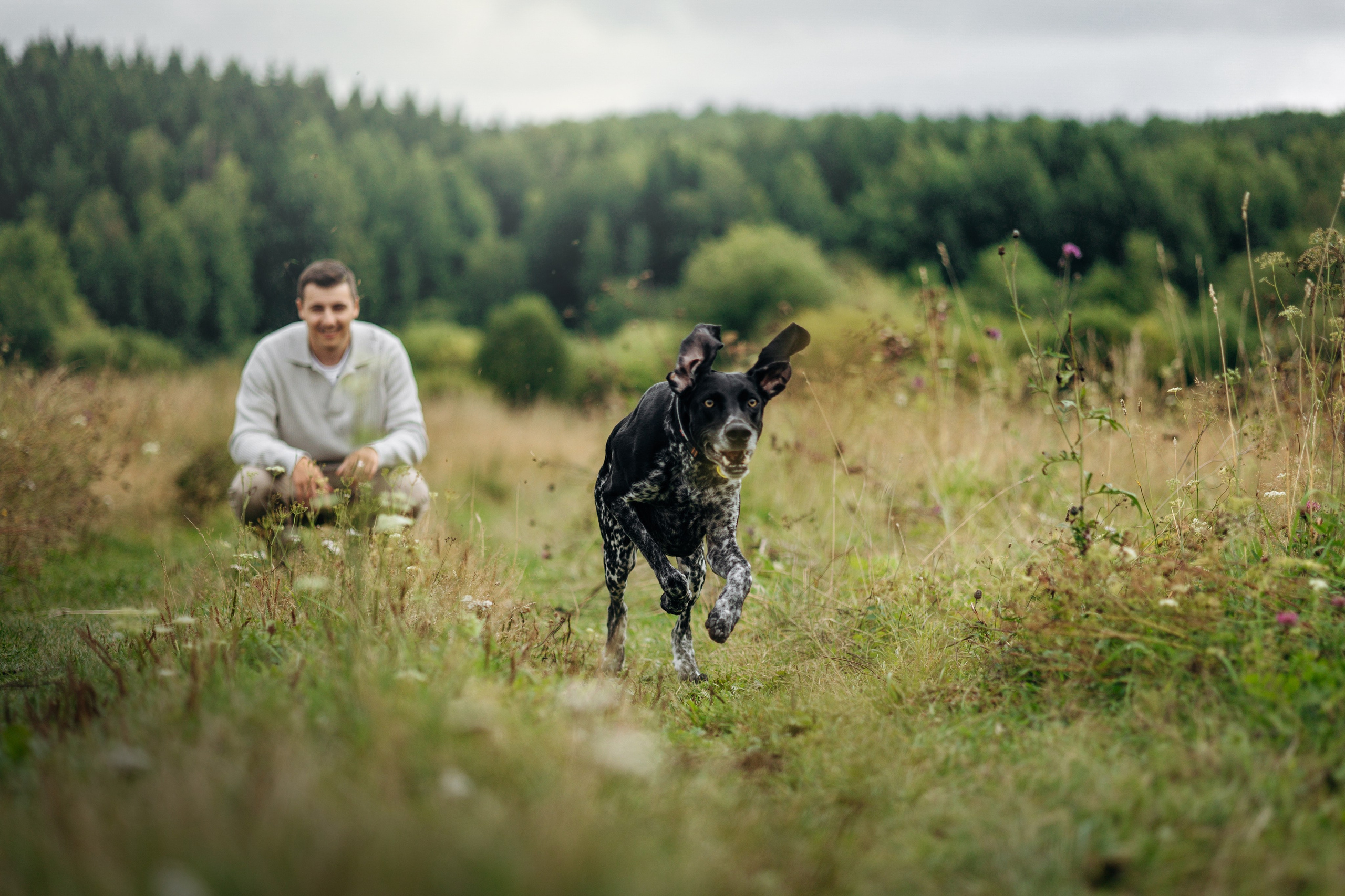 Хеликс и его семья. Фотограф — Анималист | Санкт-Петербург