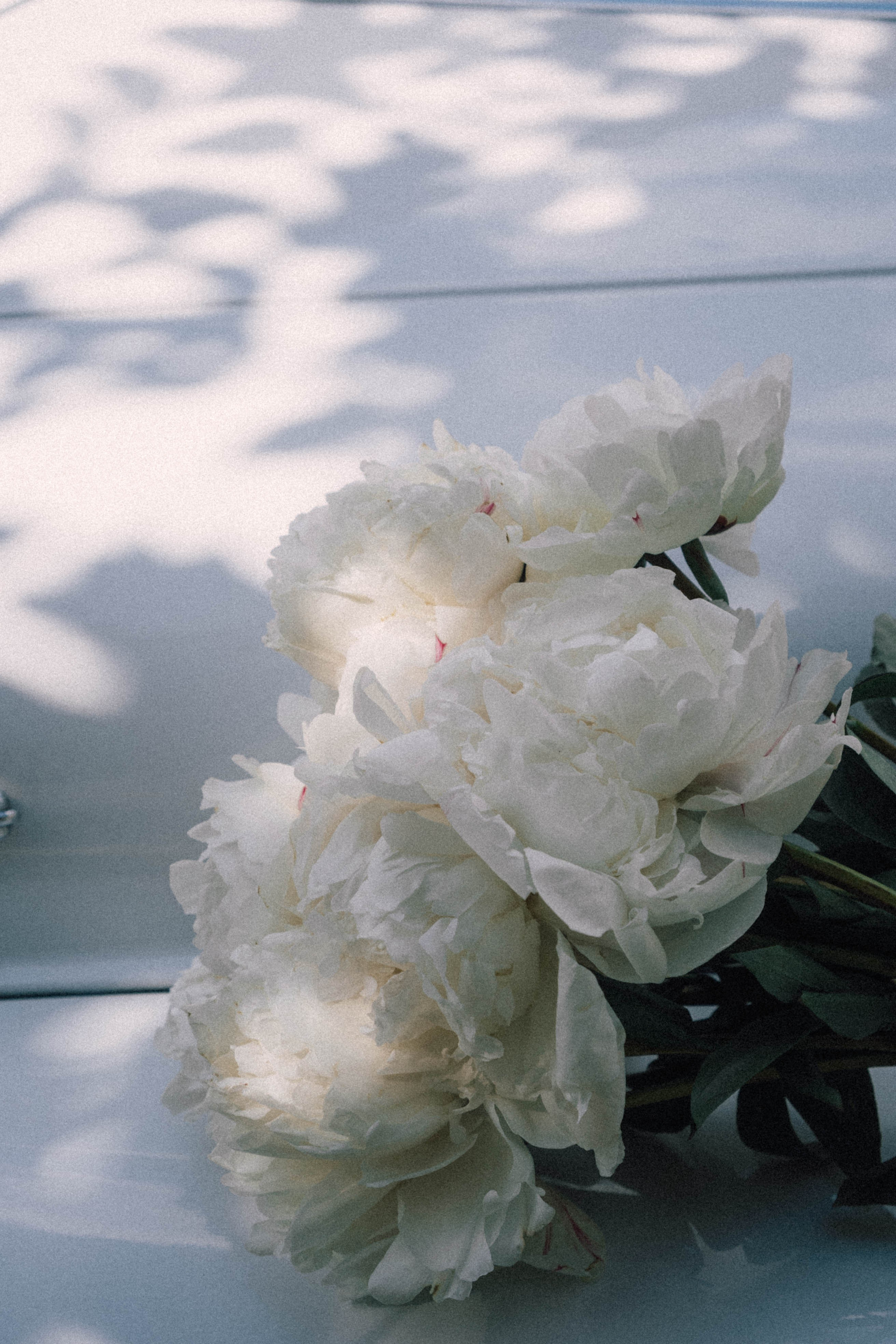 Винтажный стиль. Профессиональный фотограф, Санкт-Петербург — Виктория Богомолова