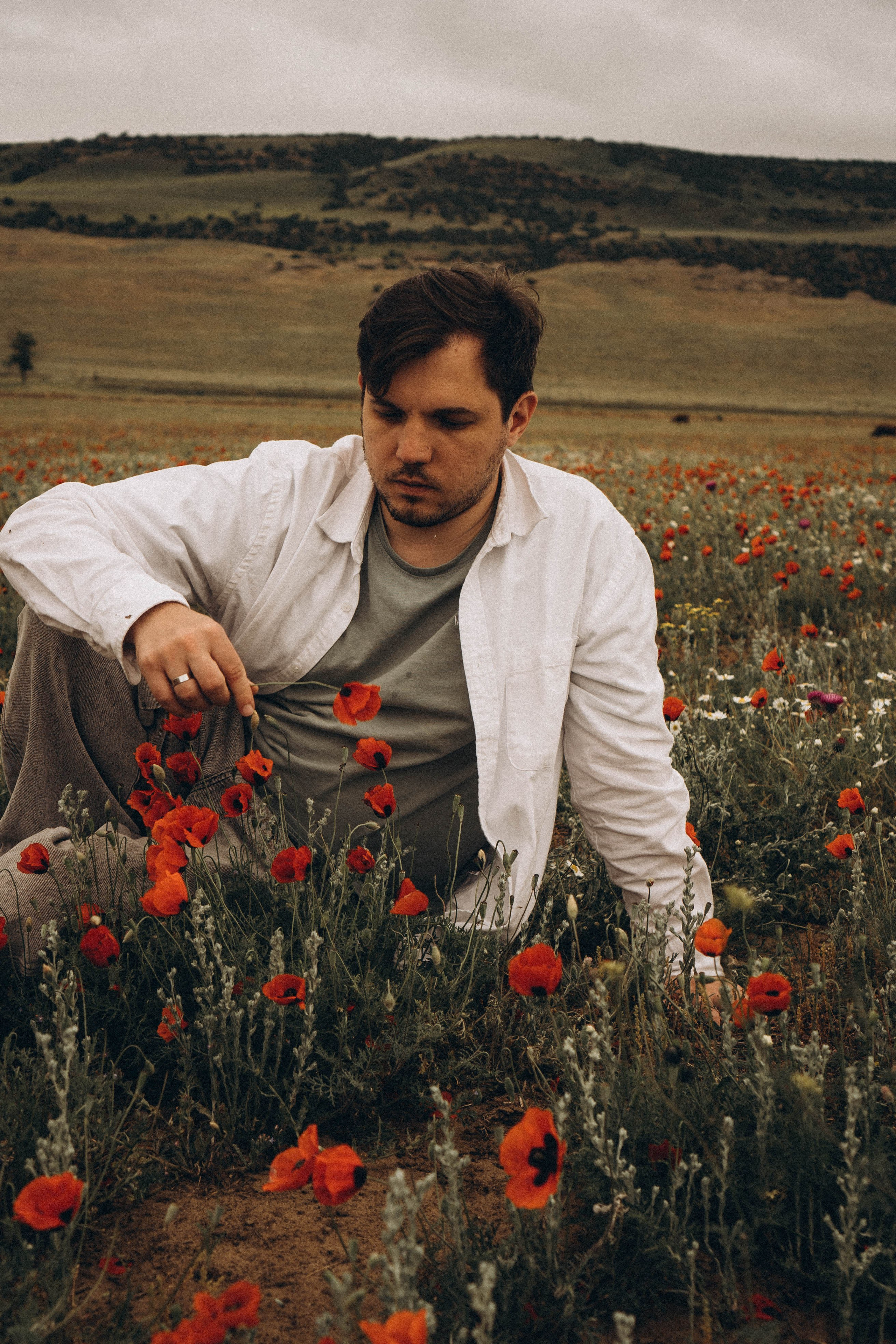 Маки. Профессиональный фотограф, Санкт-Петербург — Виктория Богомолова