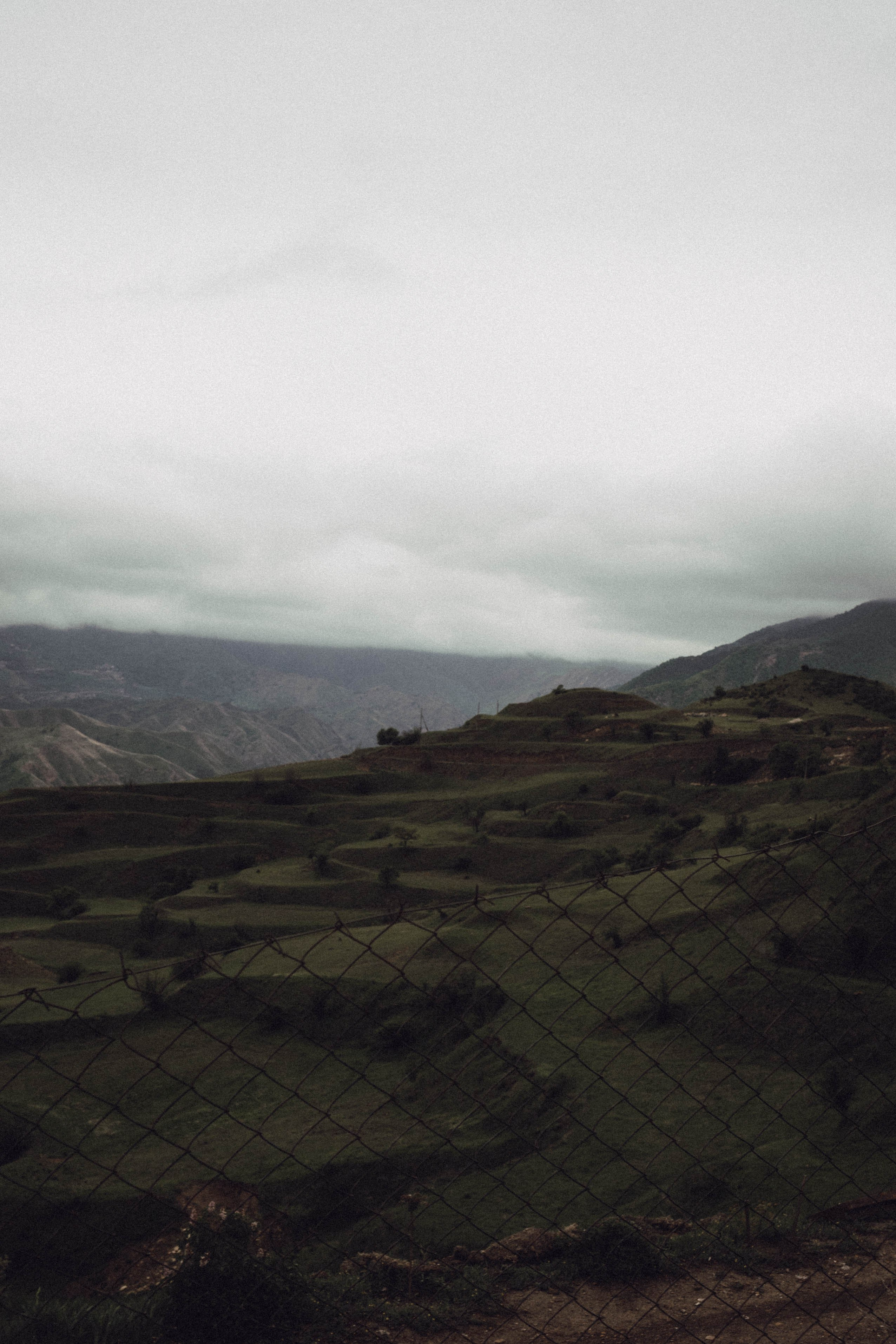 Кавказ. Профессиональный фотограф, Санкт-Петербург — Виктория Богомолова