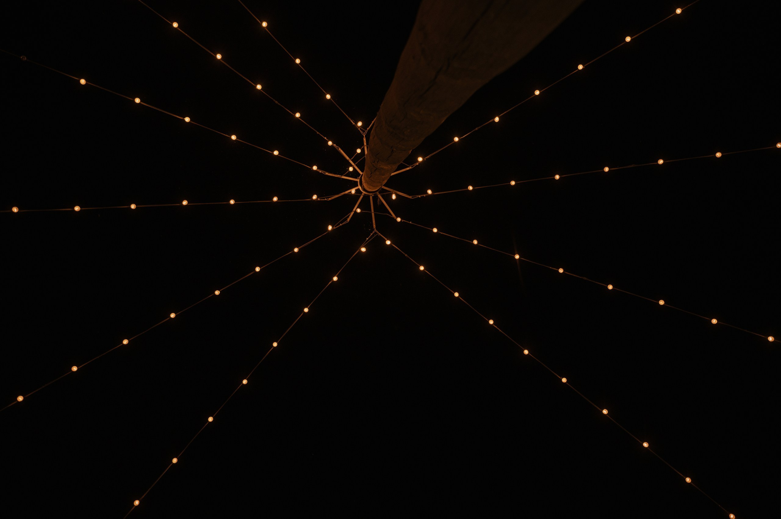 Кирилл и Светлана. Свадебный фотограф Липецк, Елец