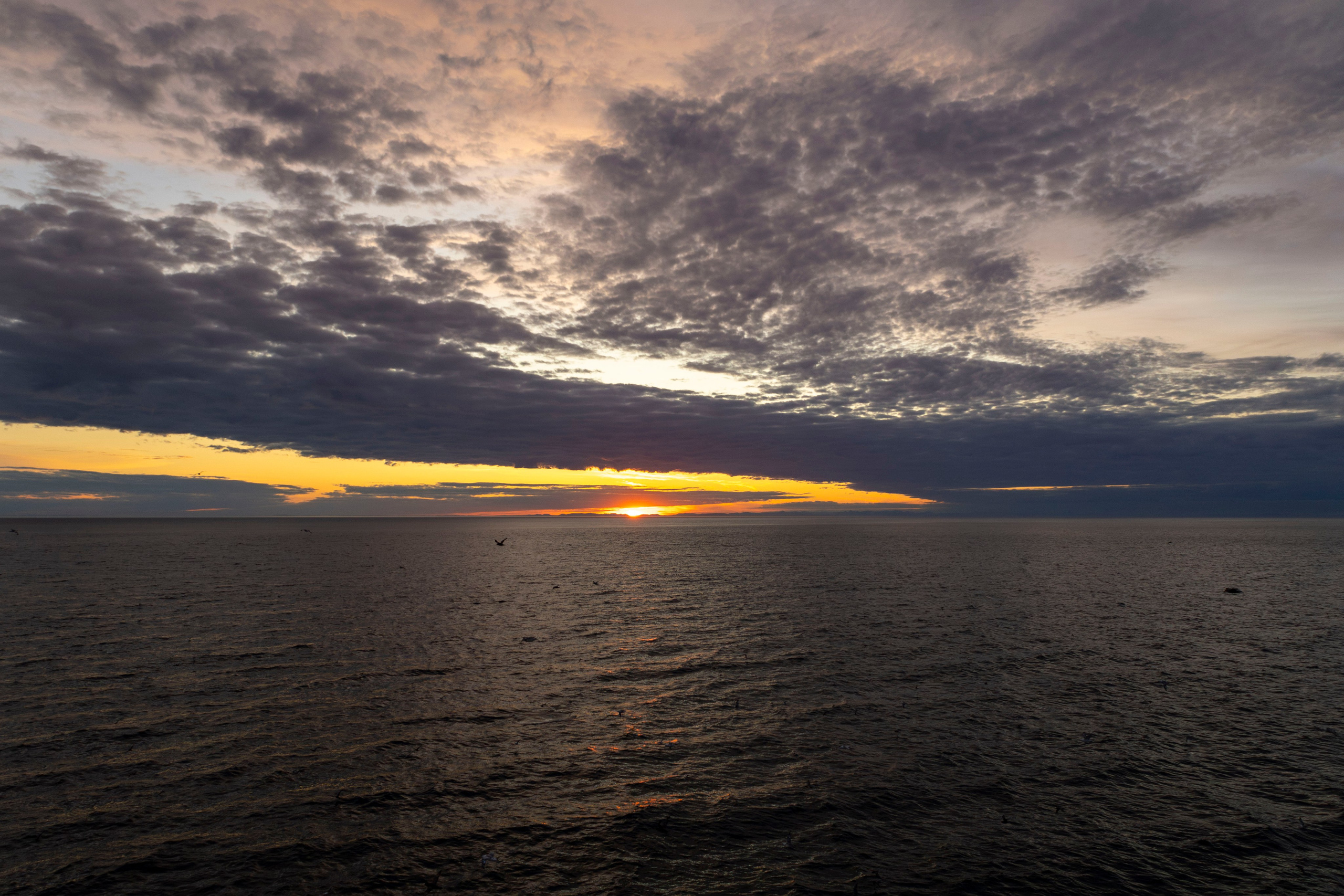 Когда я в море. Часть 2. Фотограф г. Владивосток