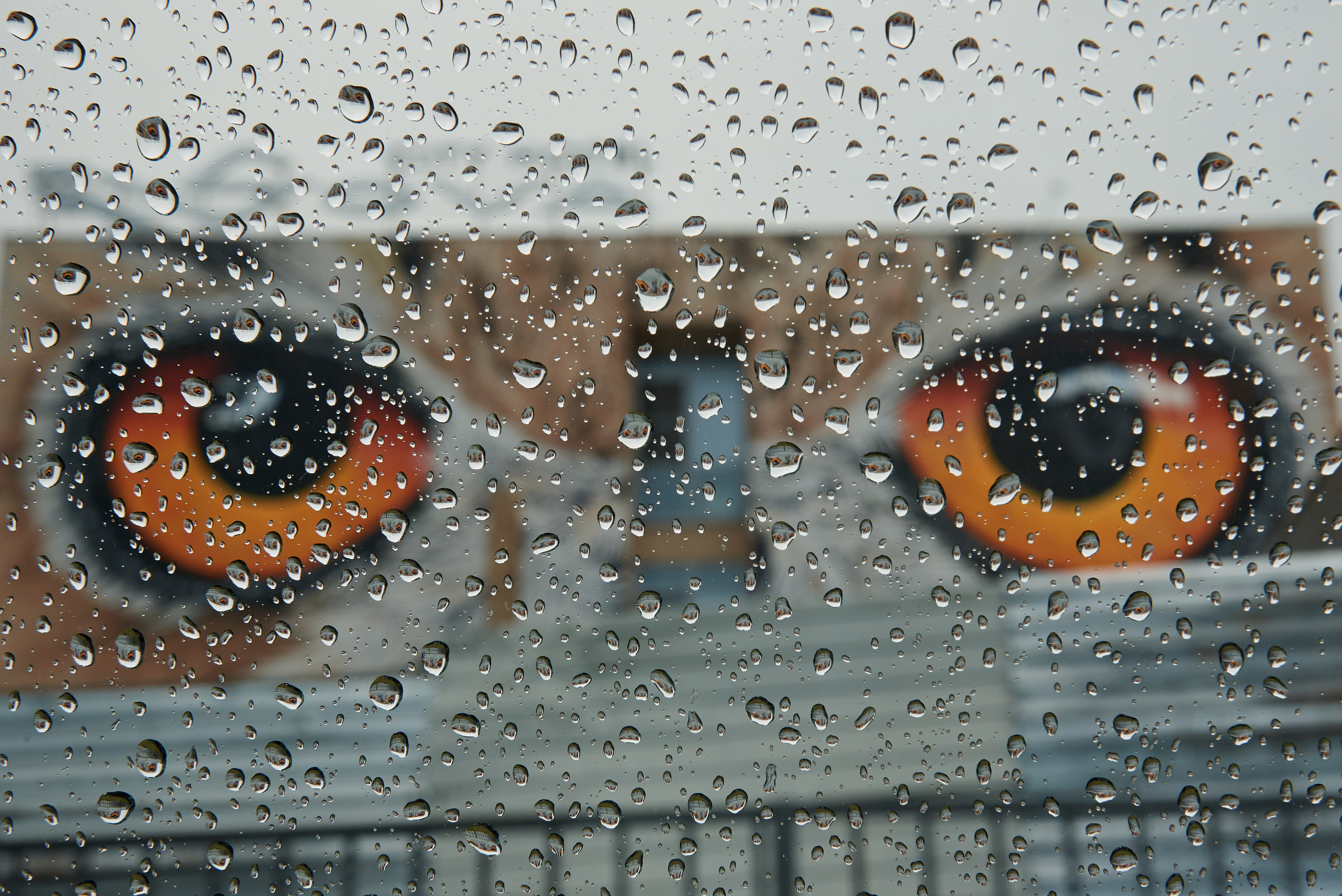 Влад и Татьяна. Свадебный и семейный фотограф в Нижнем Новгороде и в городе Городец, Б