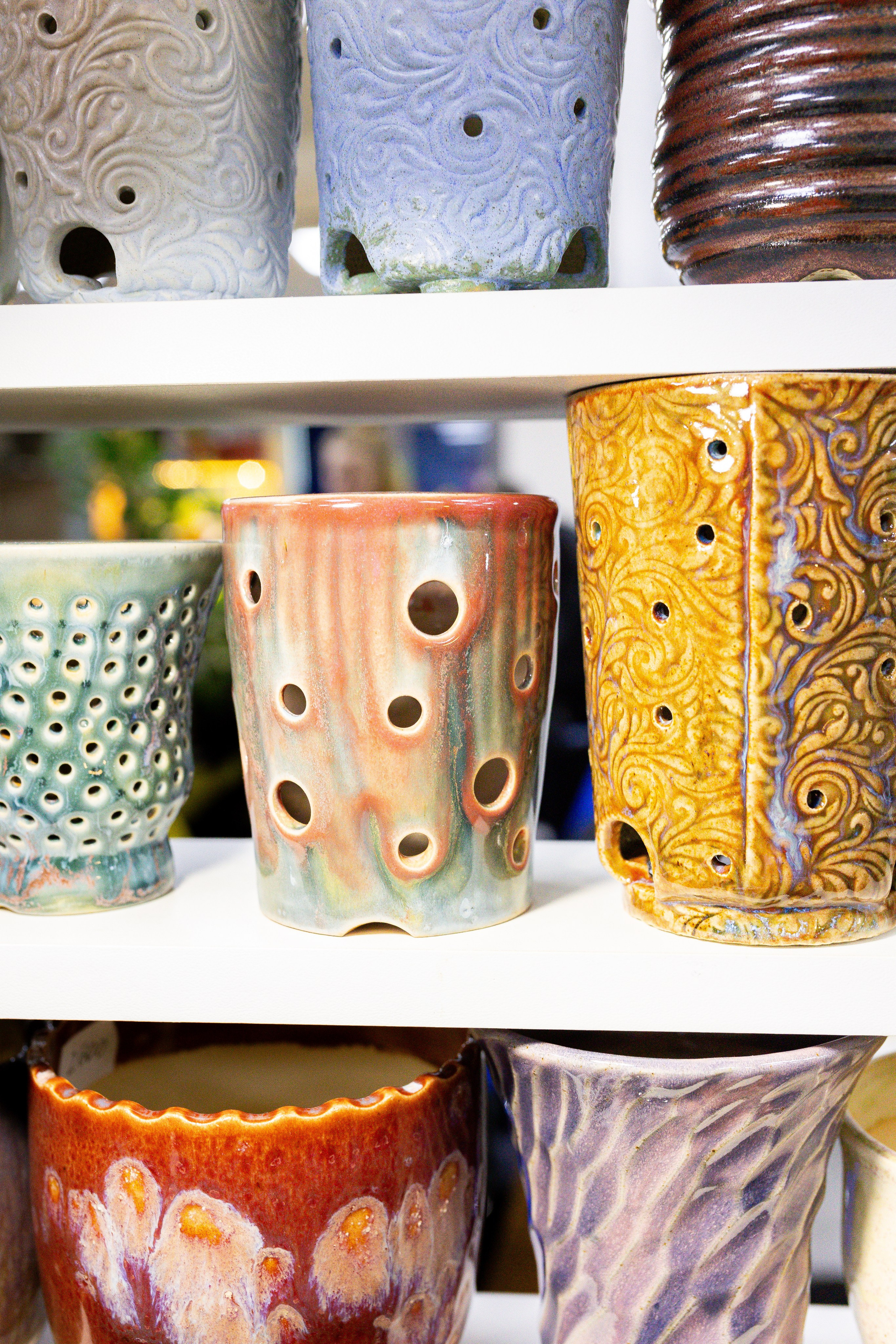 Орхидиум май 2025. Александра Куликова фотограф, Москва