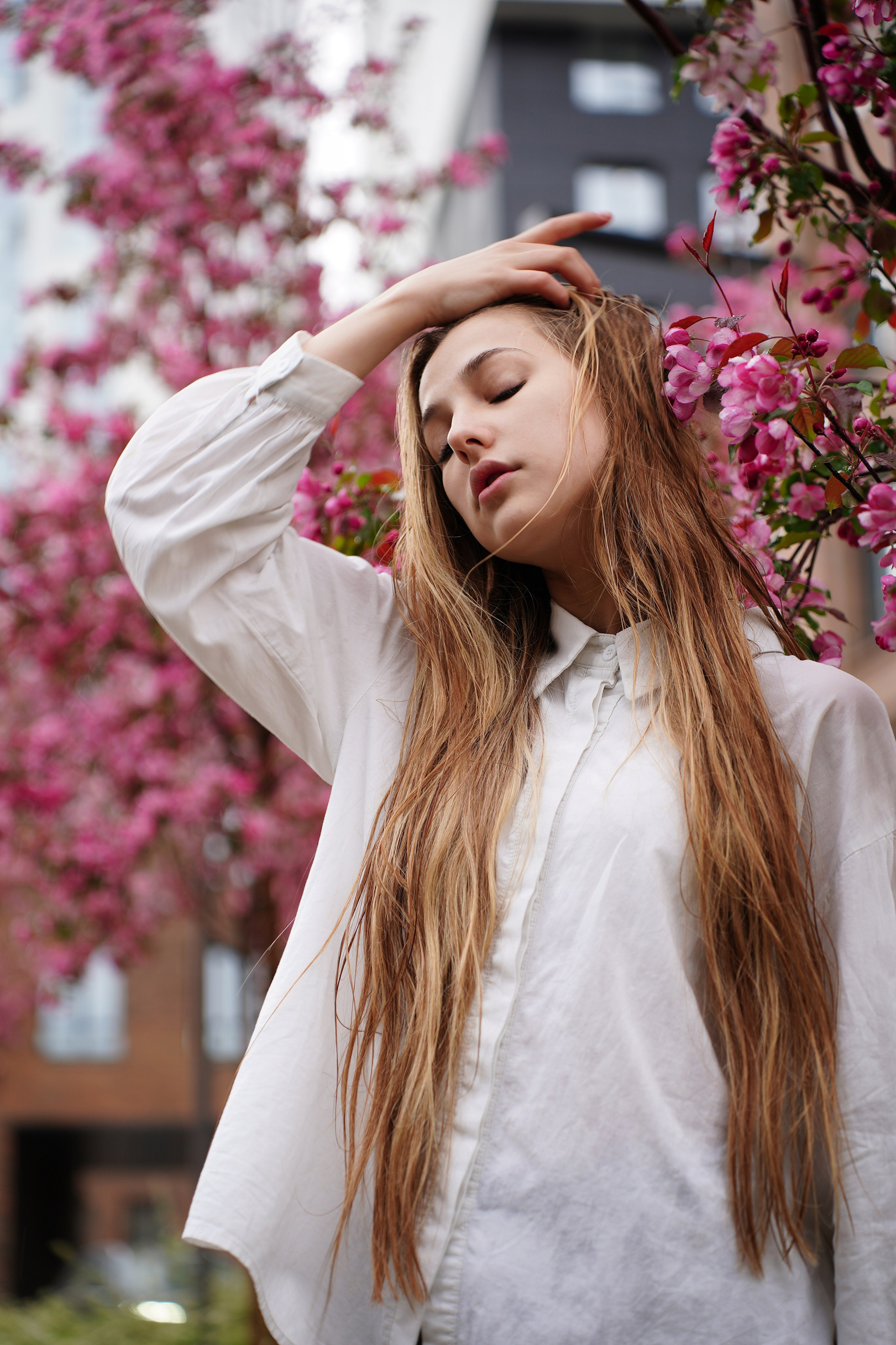 Оля Башкирская Сакура. Pupov.png