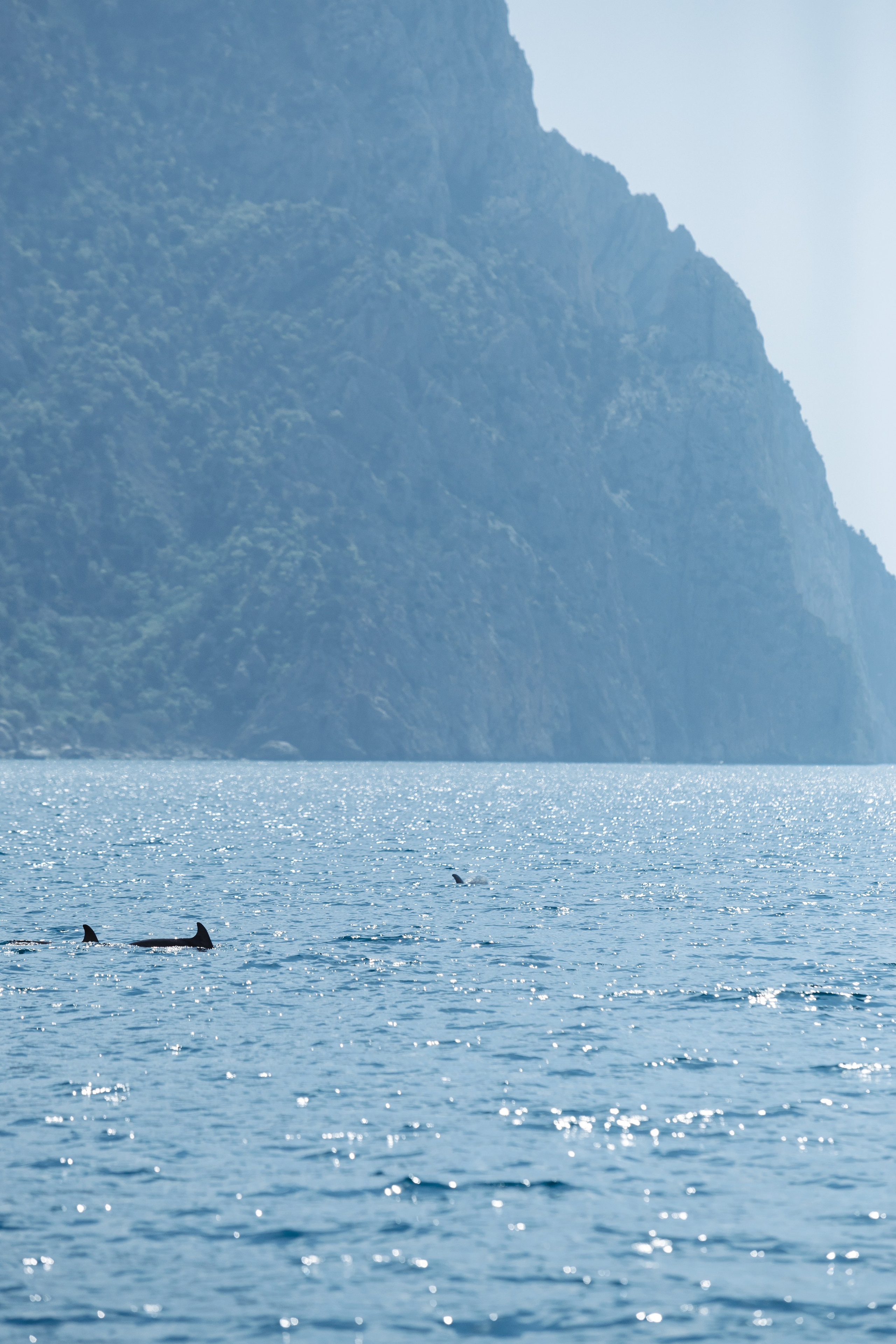 Морская Романтика. Артем Корнев Фотограф