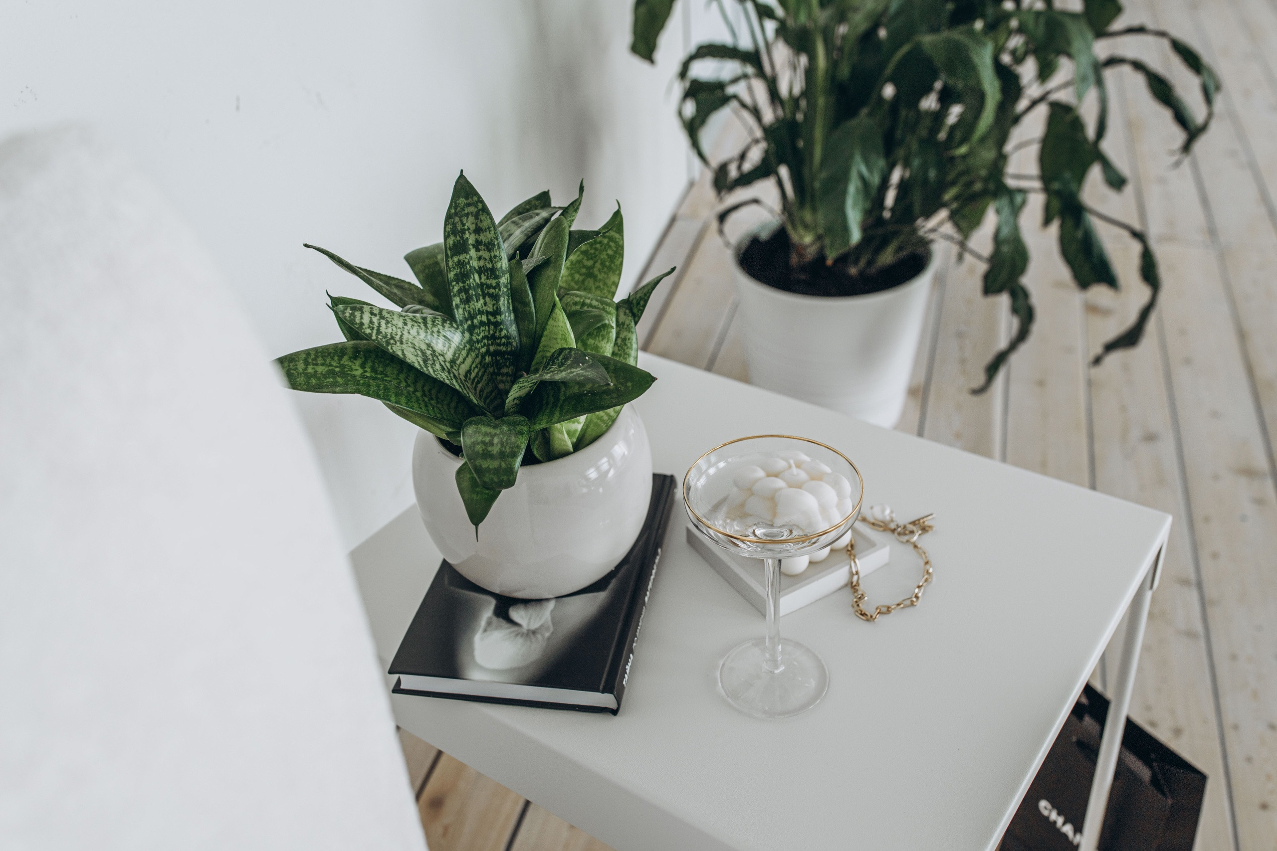 Истории зал Бали, аренда 1700 руб/час. Классный фотограф Красноярска Васильева Ирина