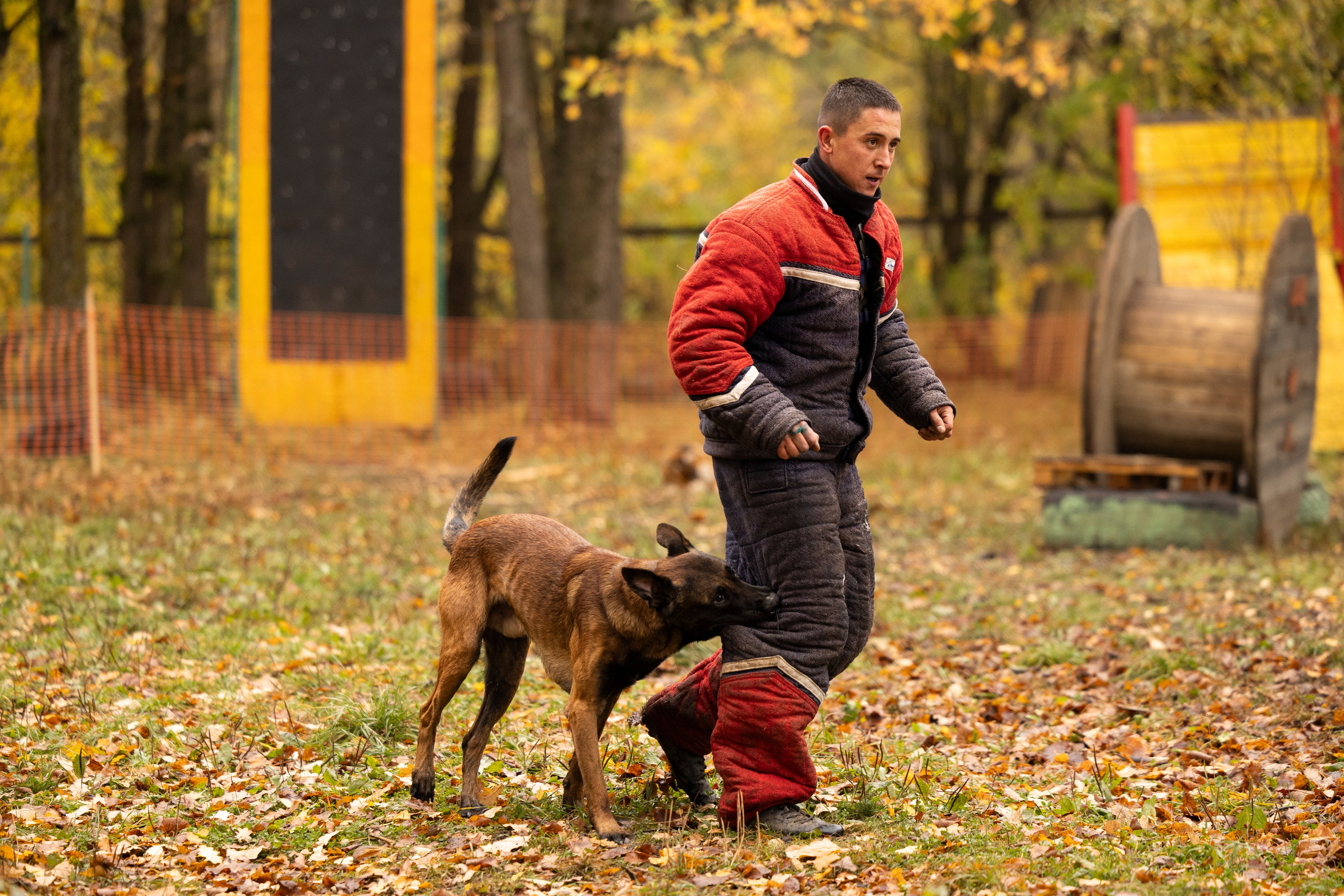 Соревнования по Мондьорингу г. Вологда. Фотограф-анималист Анна Маринич