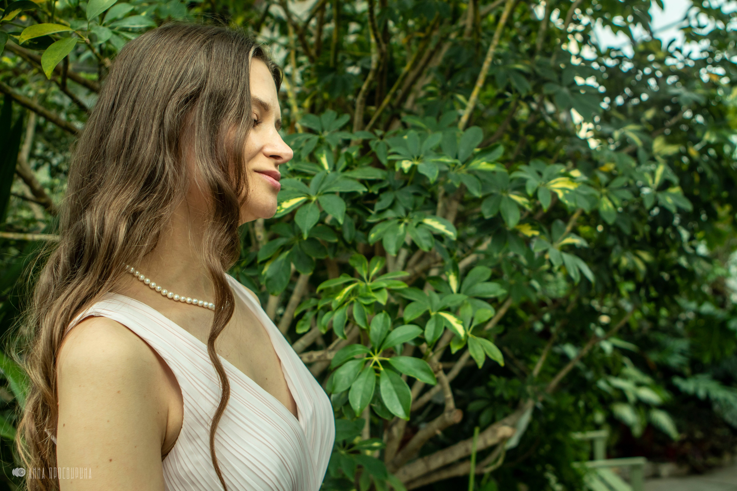 Фотодень в оранжерее Таврического Сада. Ваш фотограф в Санкт-Петербурге Анна Просвирина