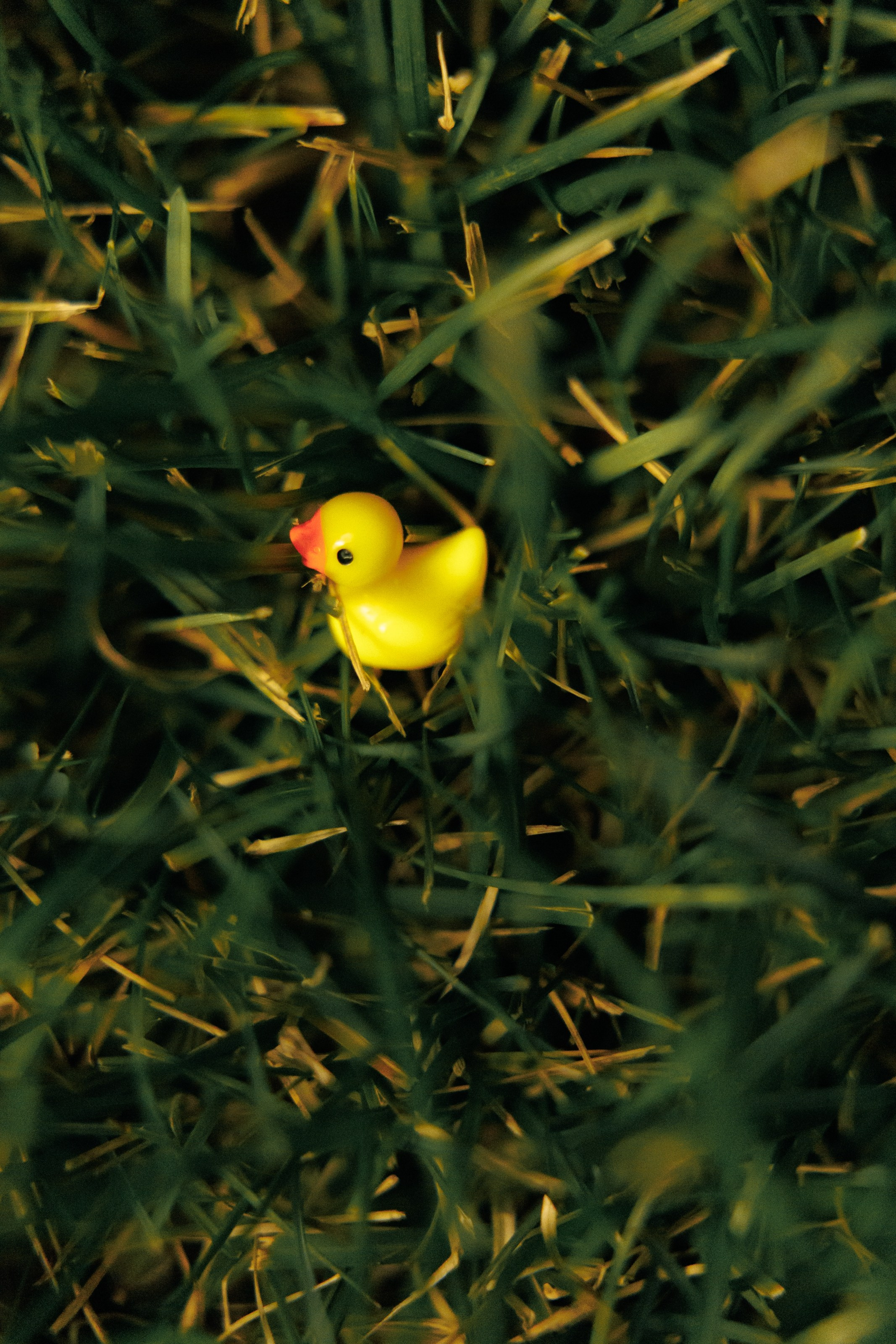 Марк и Елизавета. Свадебный фотограф в Ростове — на — Дону Александра Пивоварова