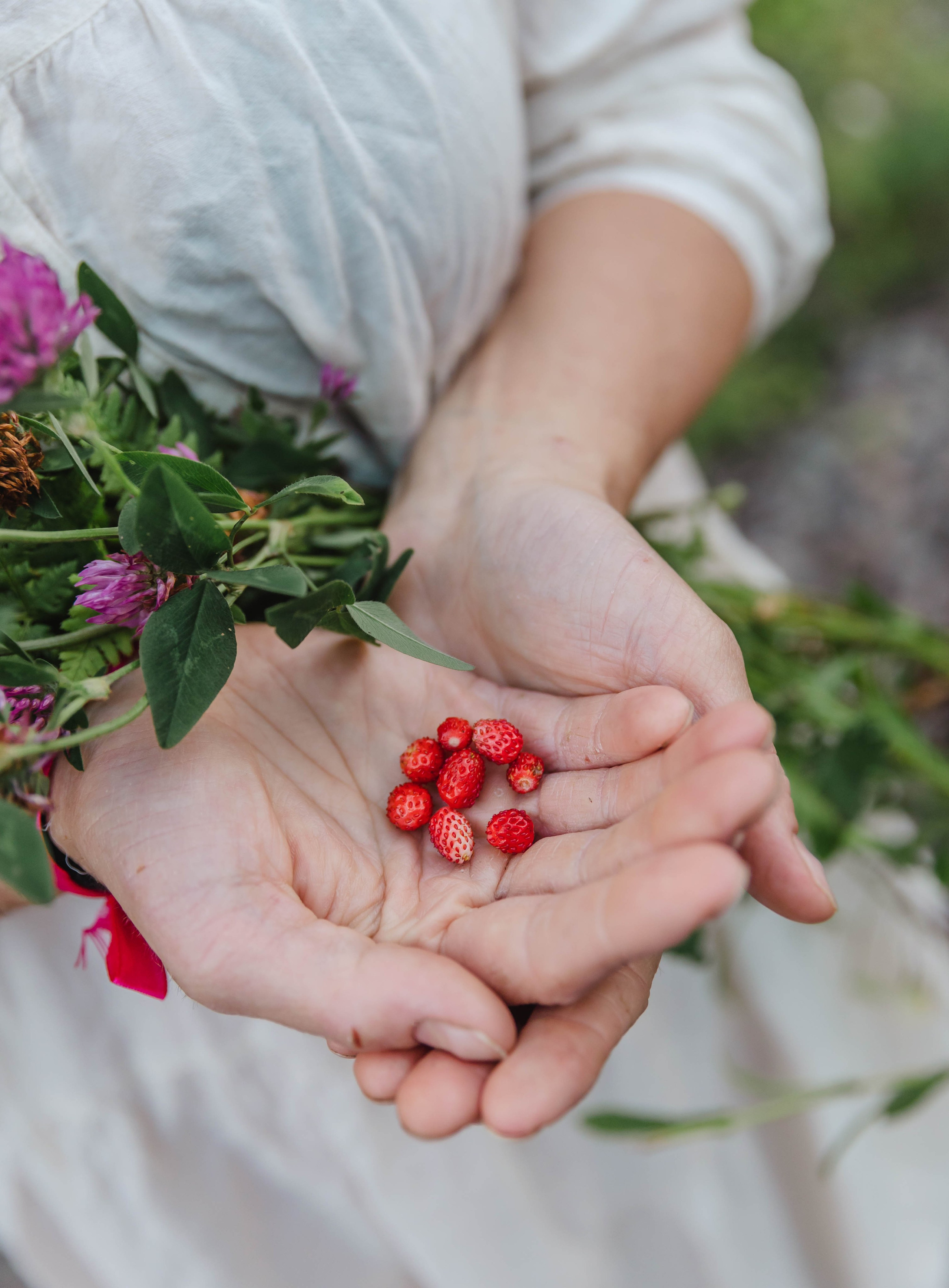 Ивана Купала. Свадебный и семейный фотограф в Карелии