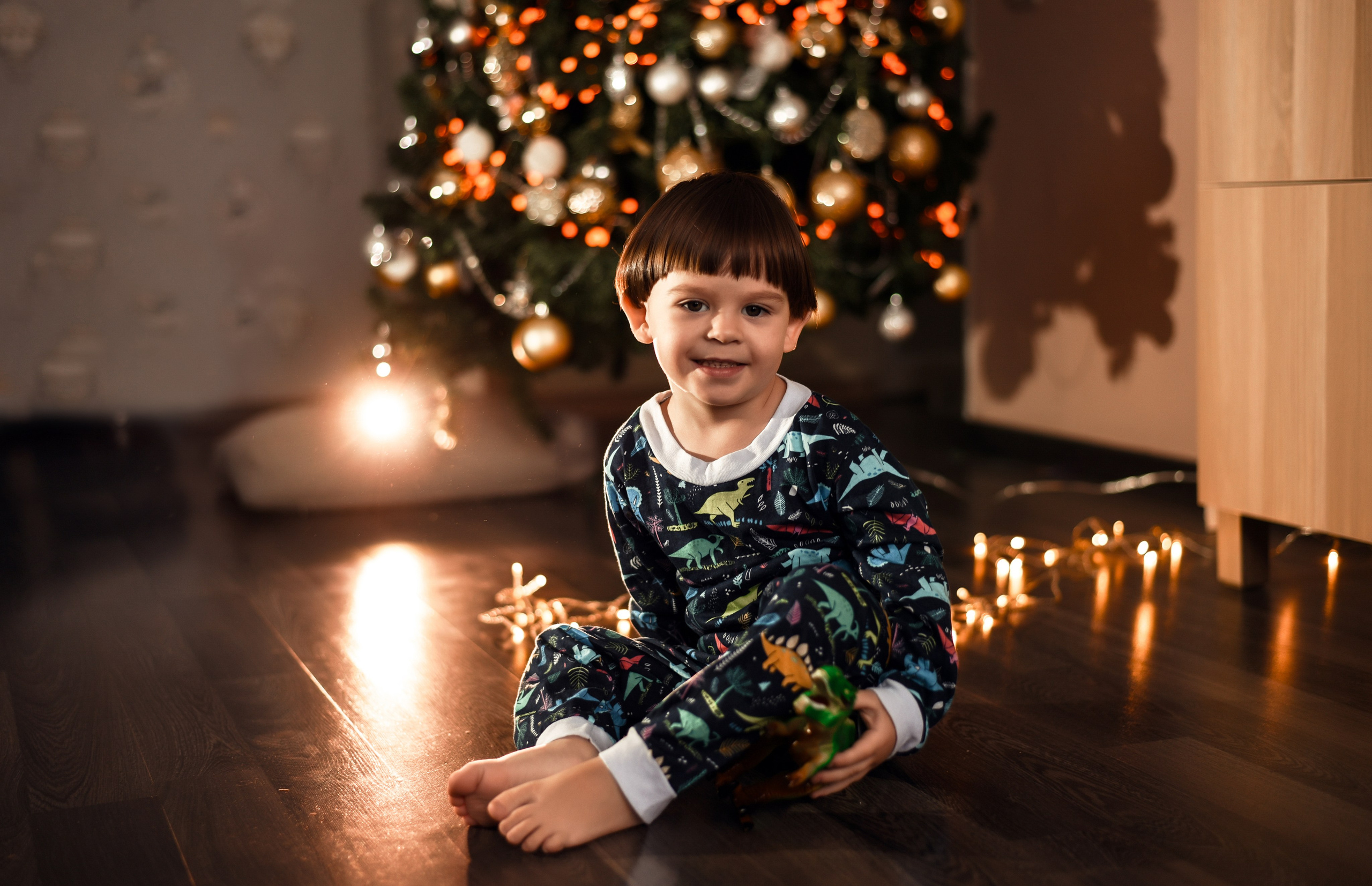 Домашняя новогодняя. Свадебный, семейный, детский, контент фотограф в Омске Максим Ильин