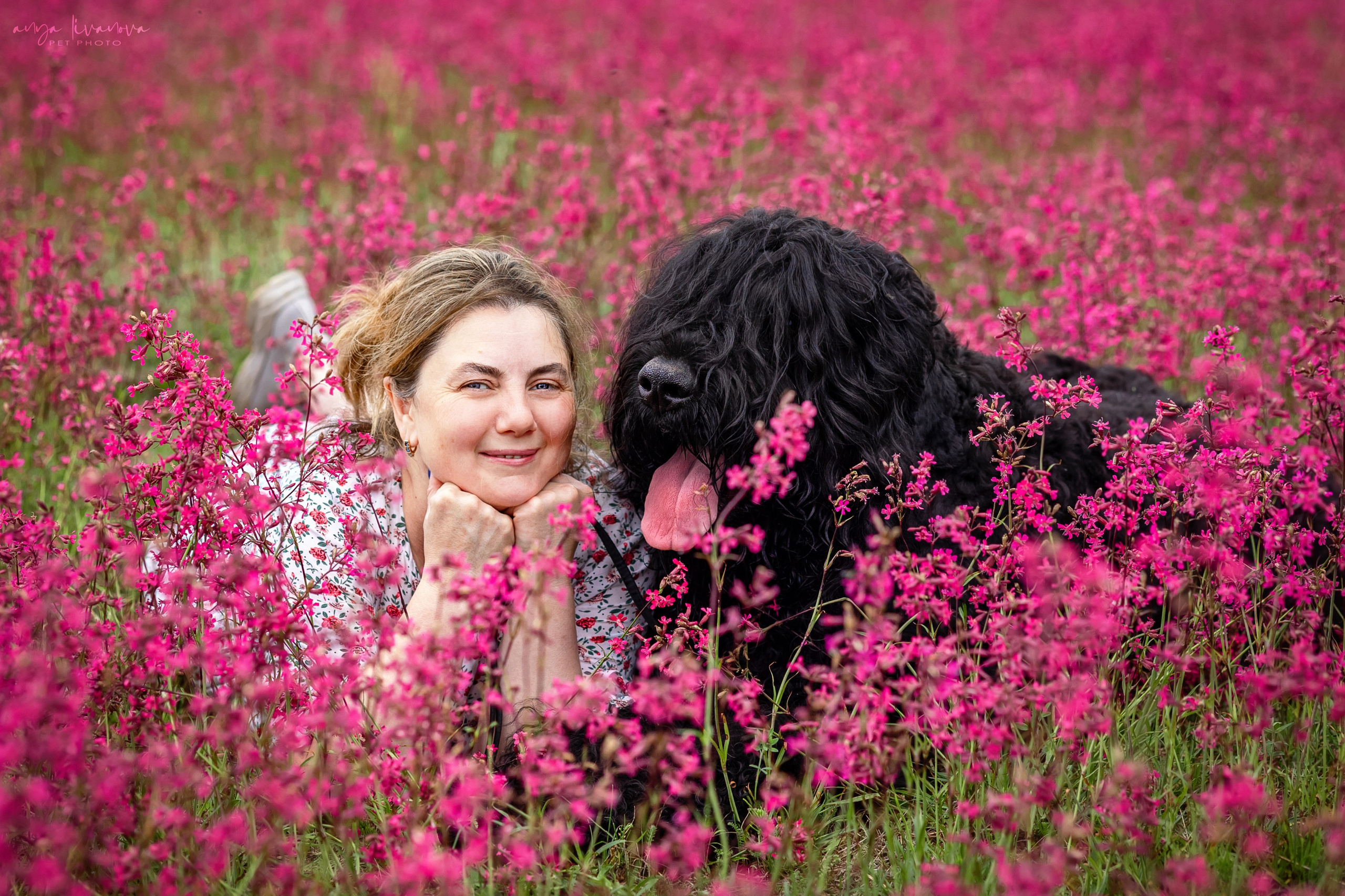 Смолка клейкая. Фотограф анималист Аня Ливанова | Рыбинск