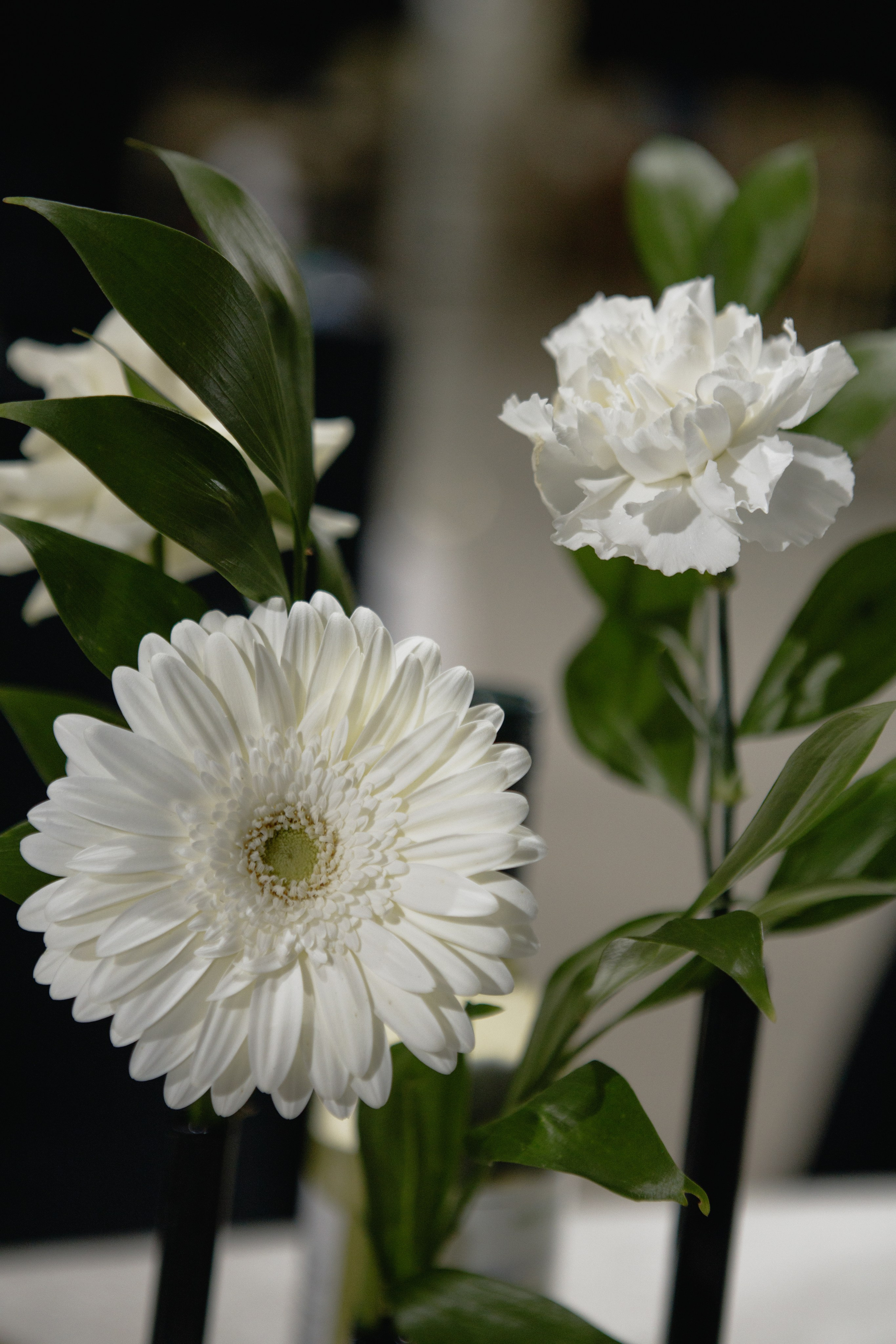 Олег и Елизавета. Фотограф в Саратове Сабина Иманова