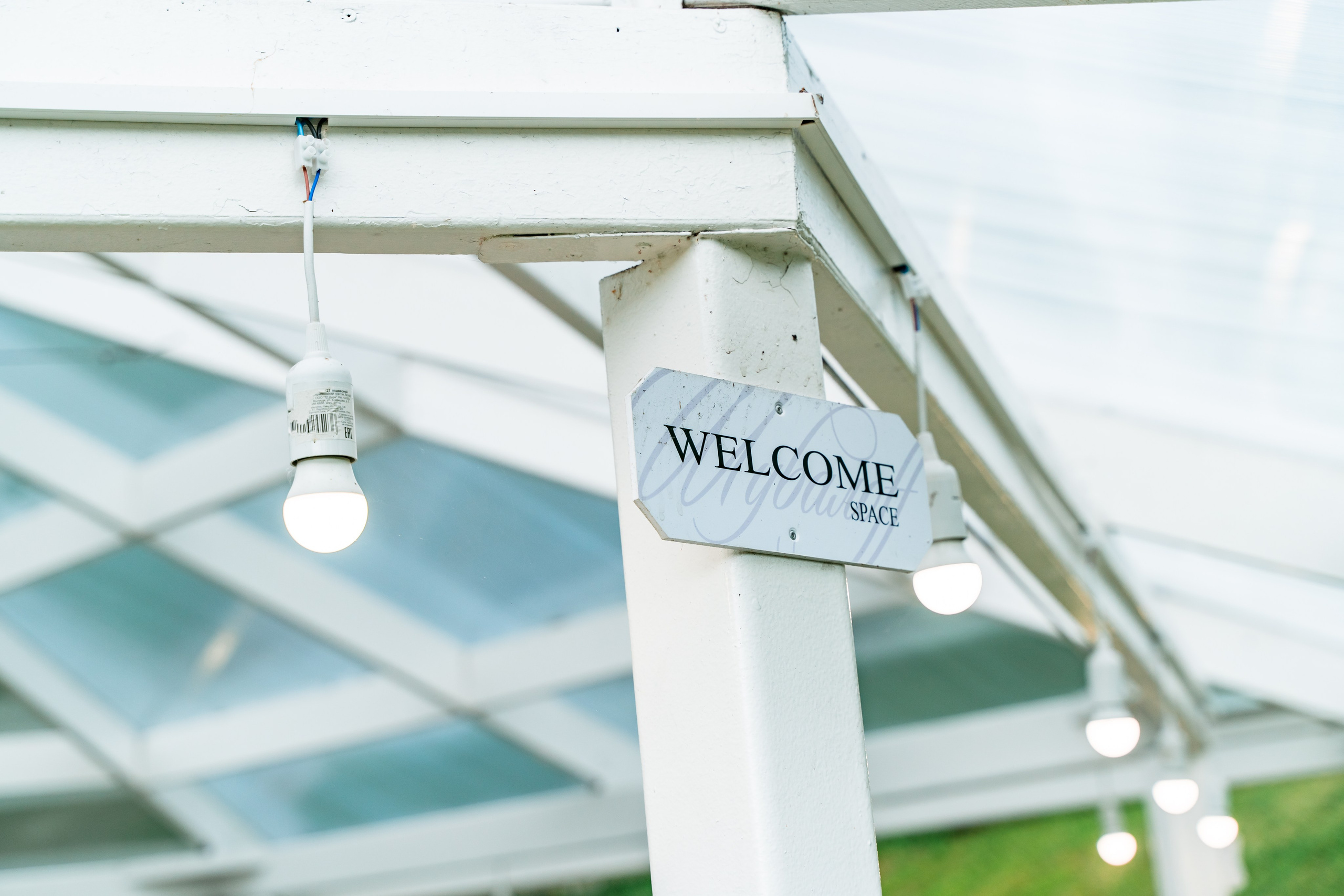 Александр + Диана