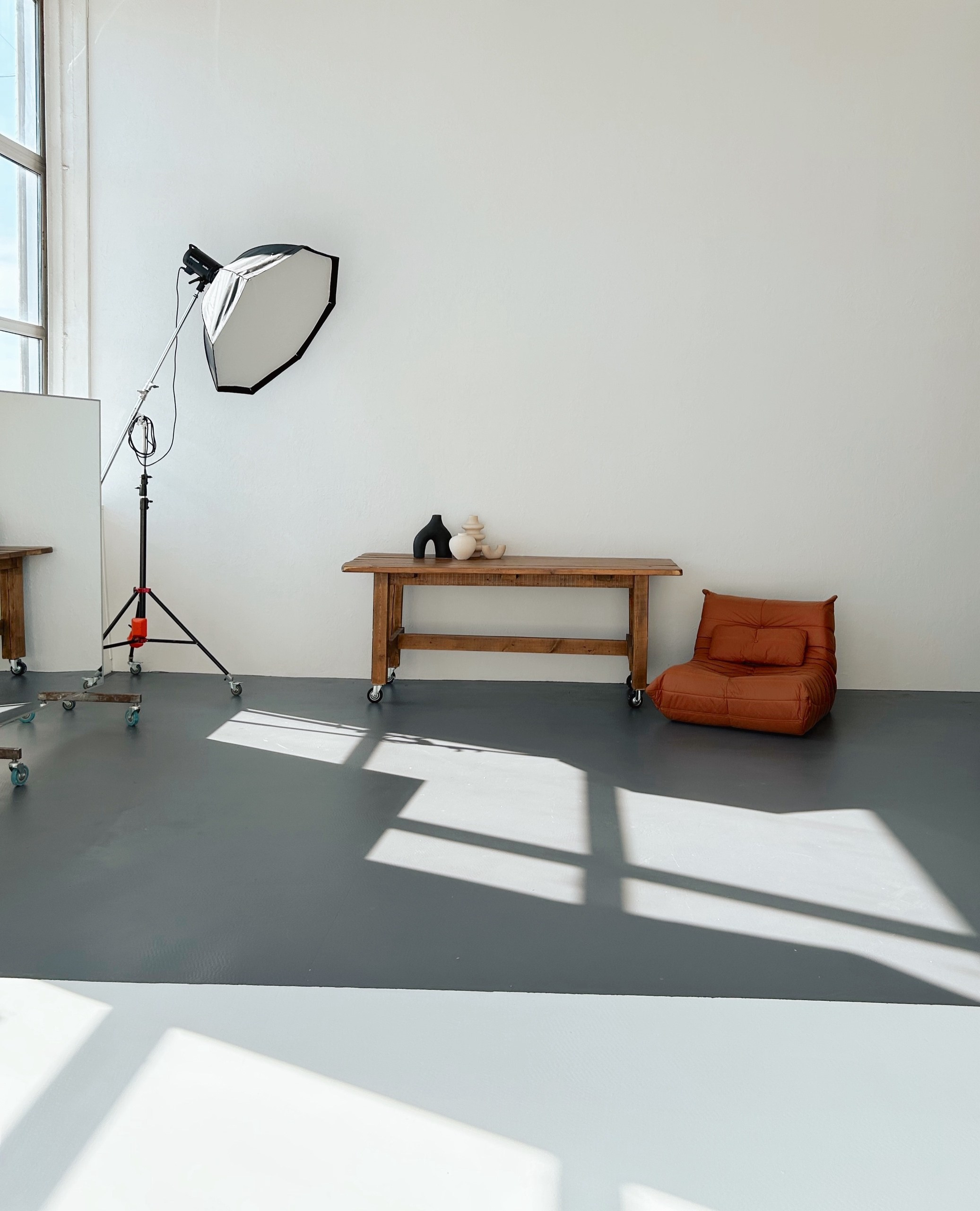 Фотостудия с художественным светом. Фотограф Анастасия Малашенко, Новосибирск