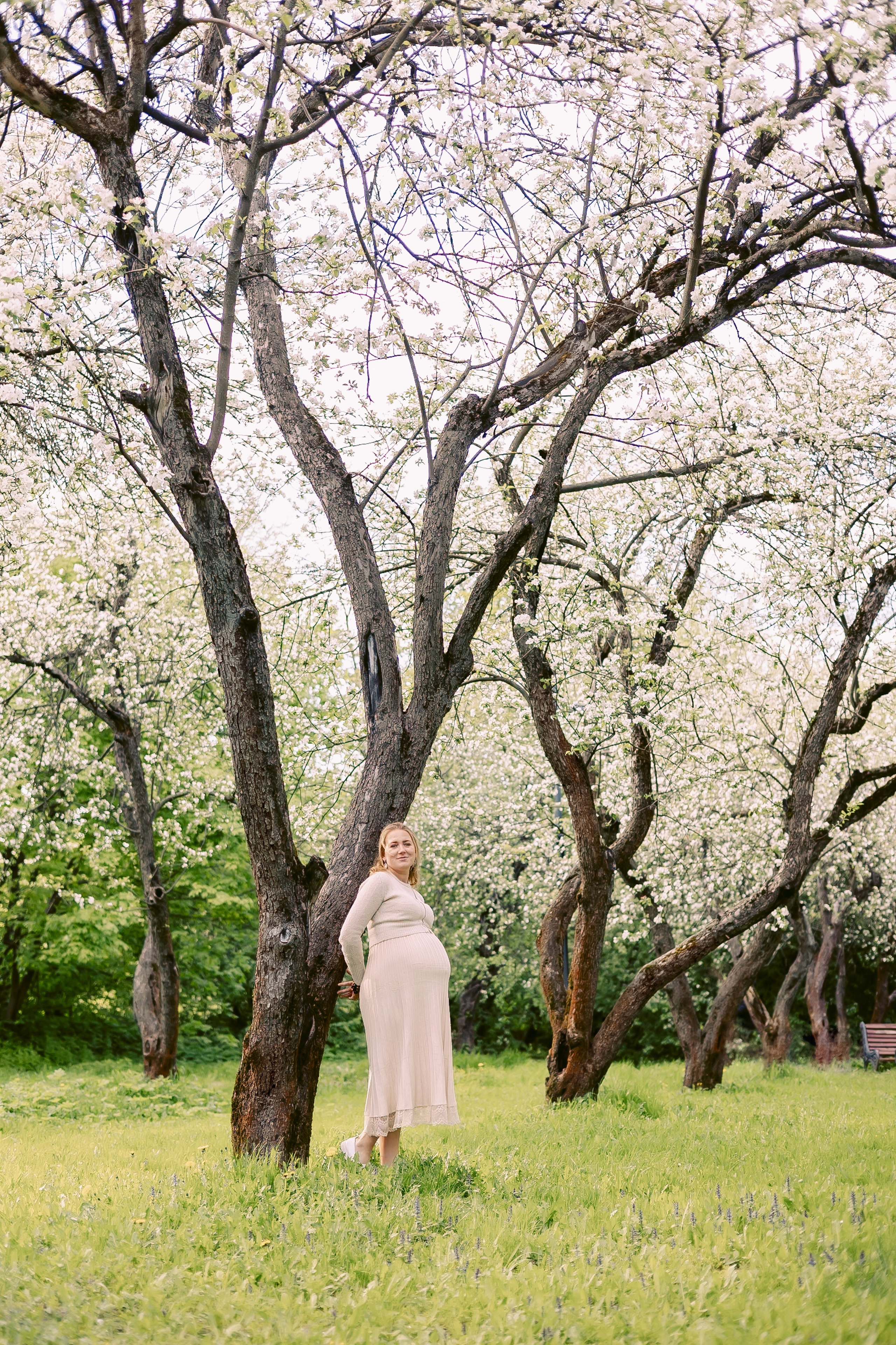 Фотосессия беременности в цветущем саду. Семейный Фотограф в Москве Евгения Симоненко