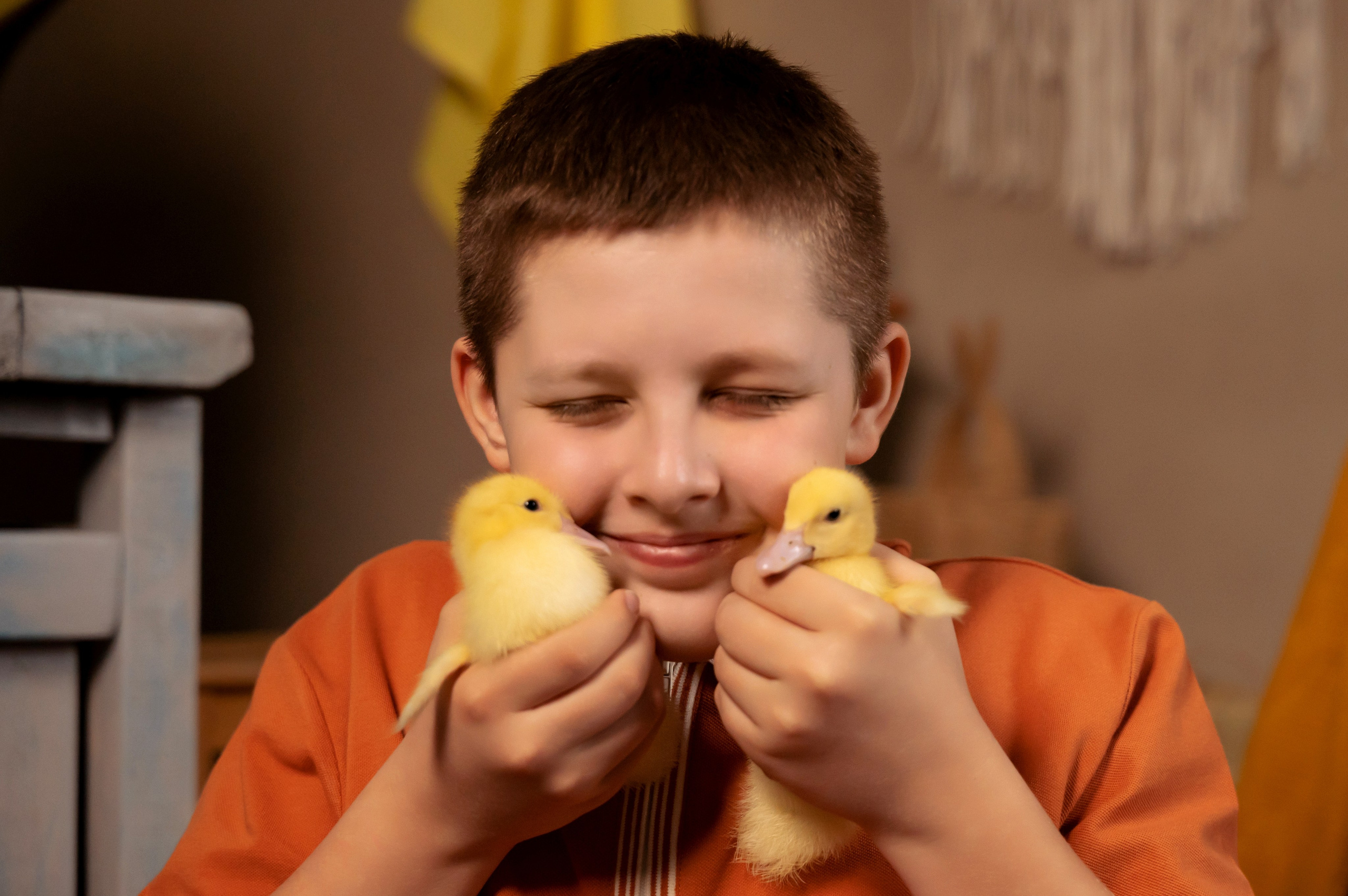 Купание утят. Елена Задорина