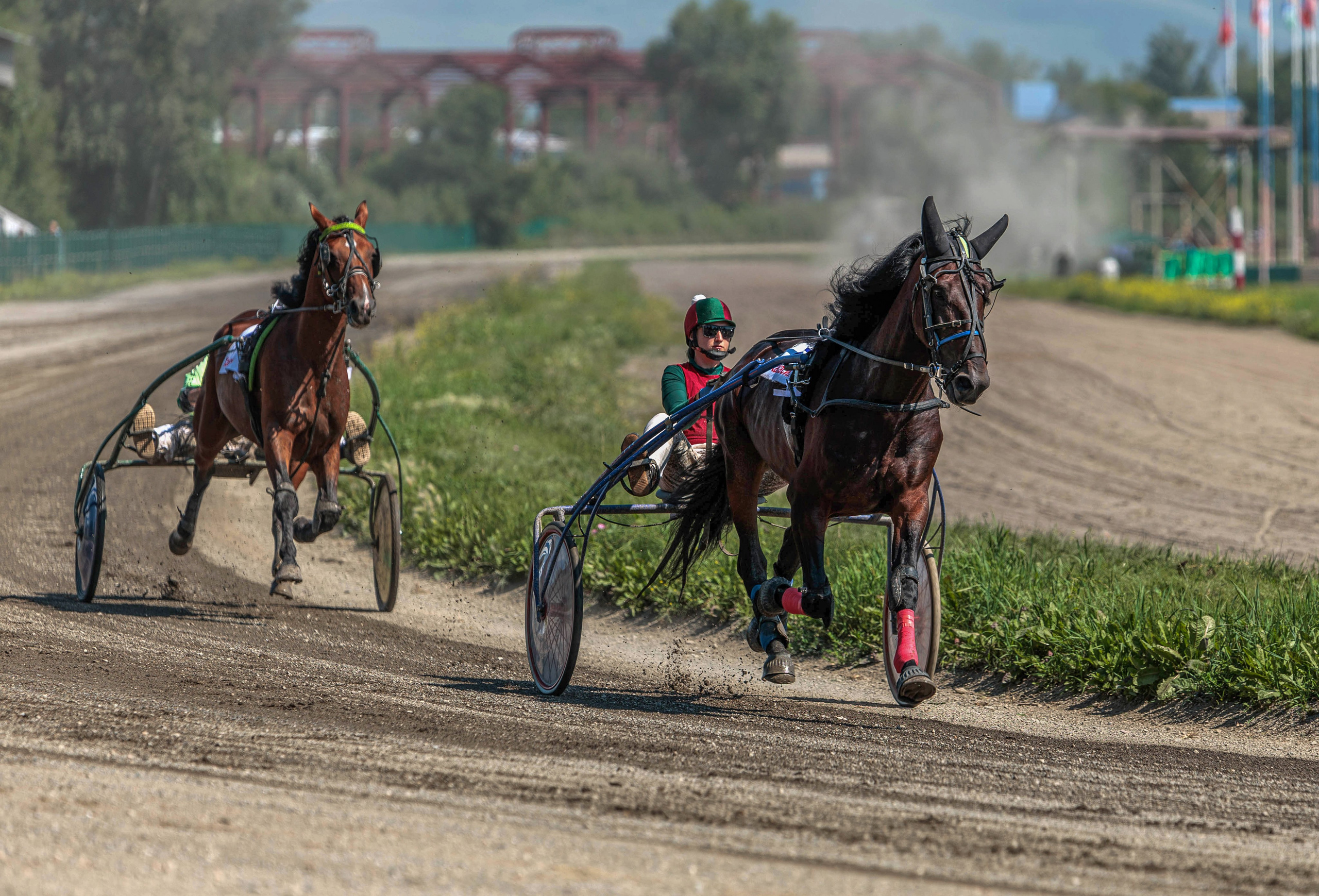 Зарисовки Абаканский ипподром 2025. Конный фотограф в Красноярске — Любовь Похабова