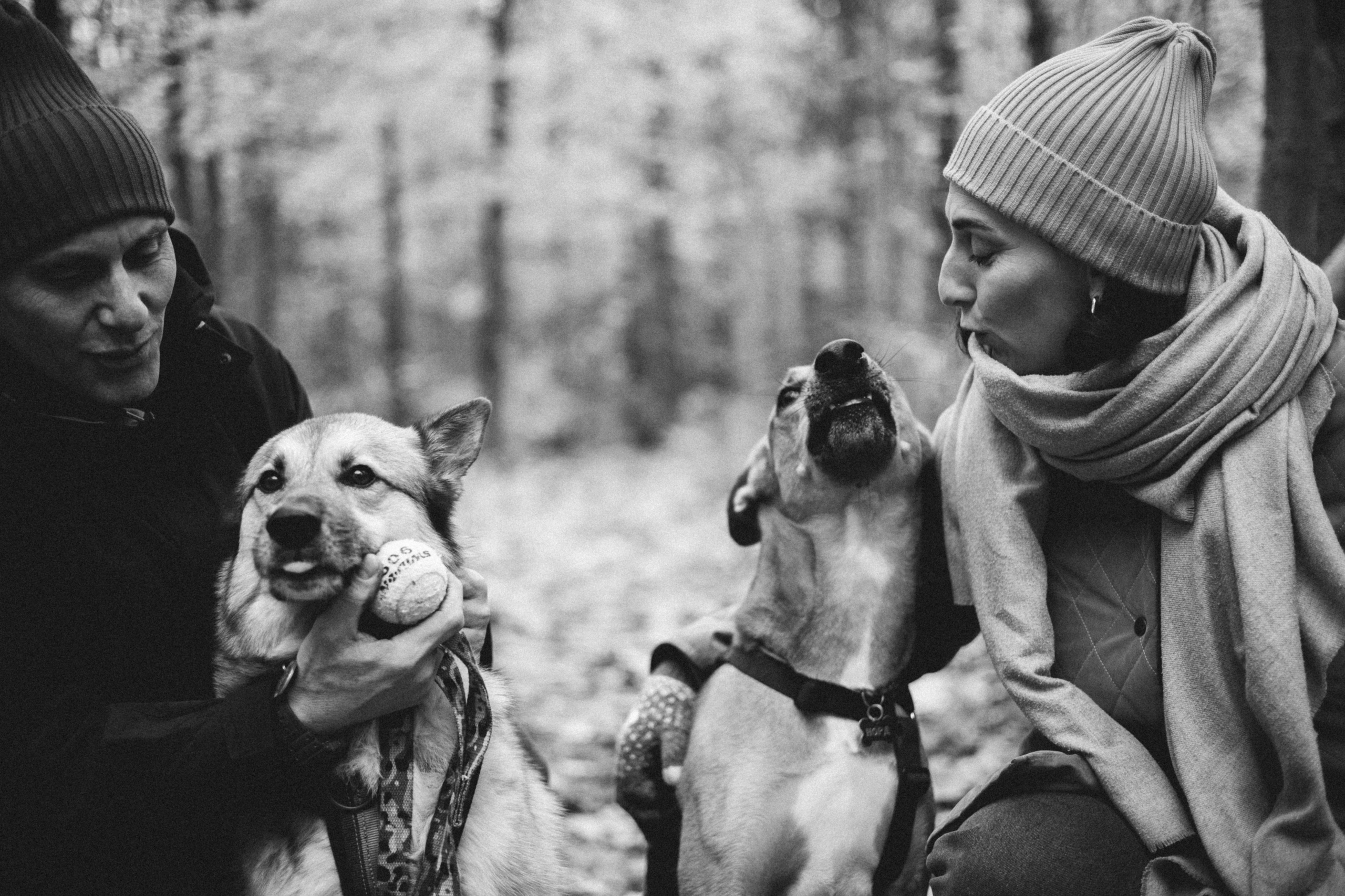 Нелли, Лёша, Рэй и Норд. Фотограф Анна Луценко Москва