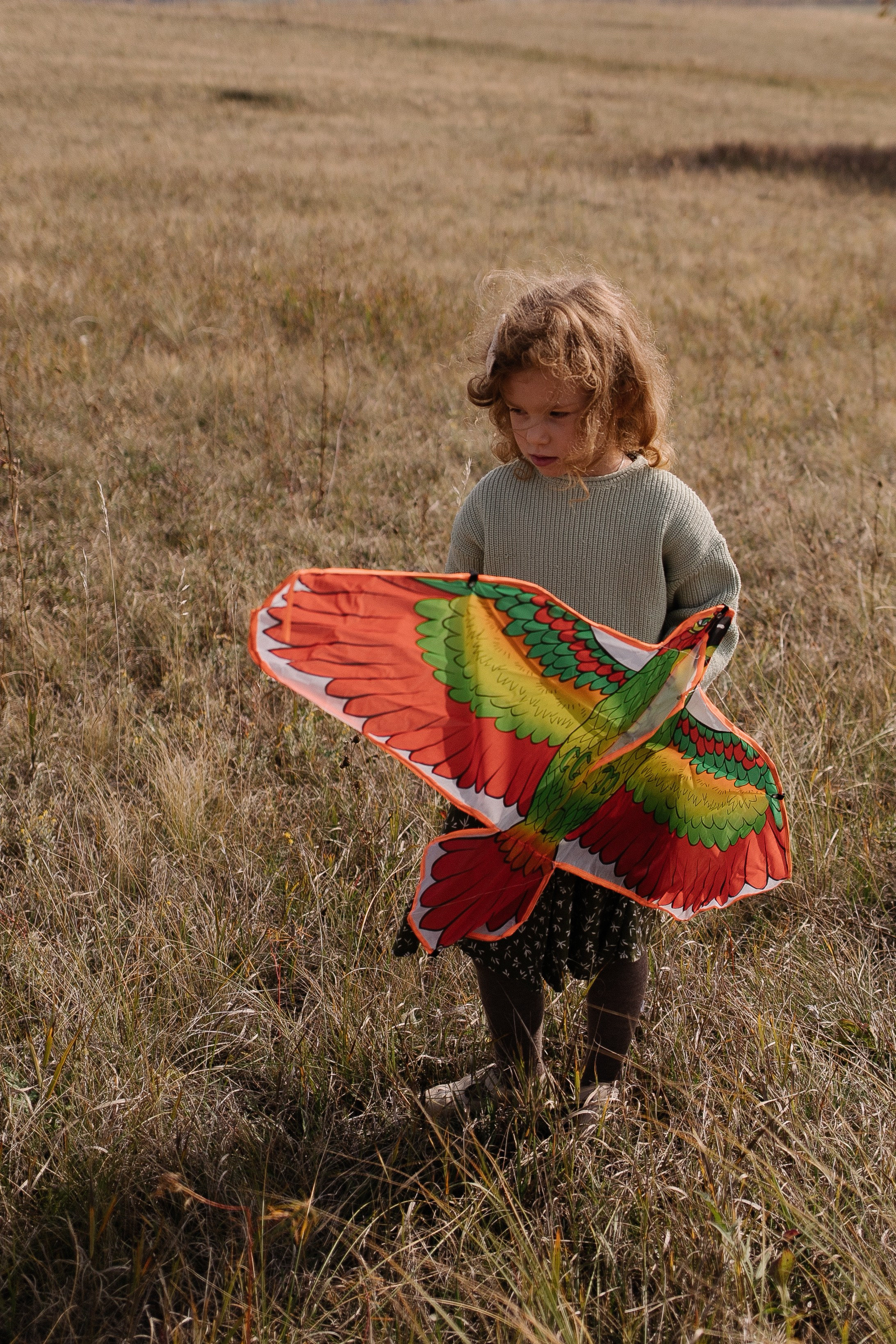 А давай запустим воздушного змея?. Семейный фотограф в Самаре