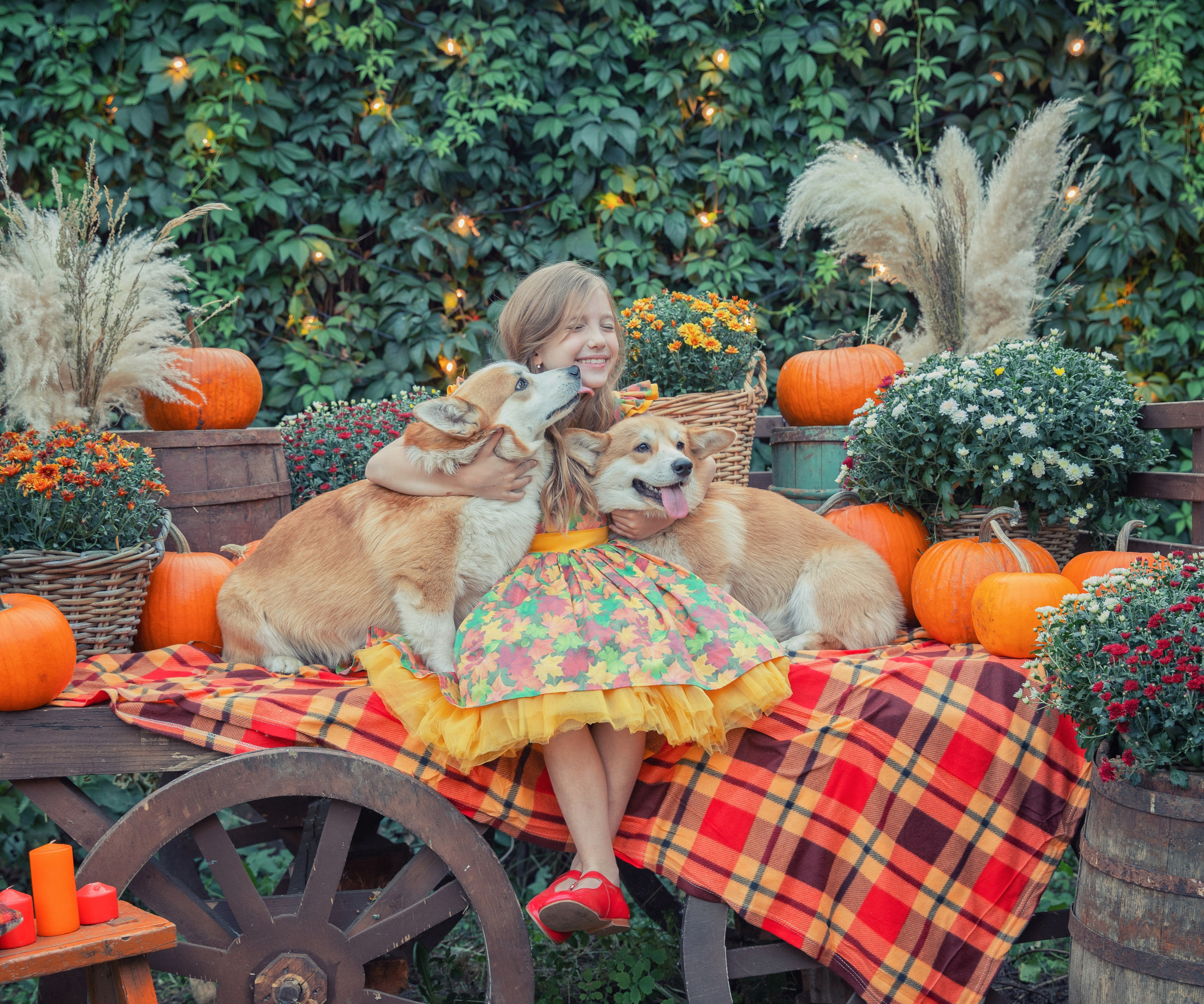 Осенние съемки