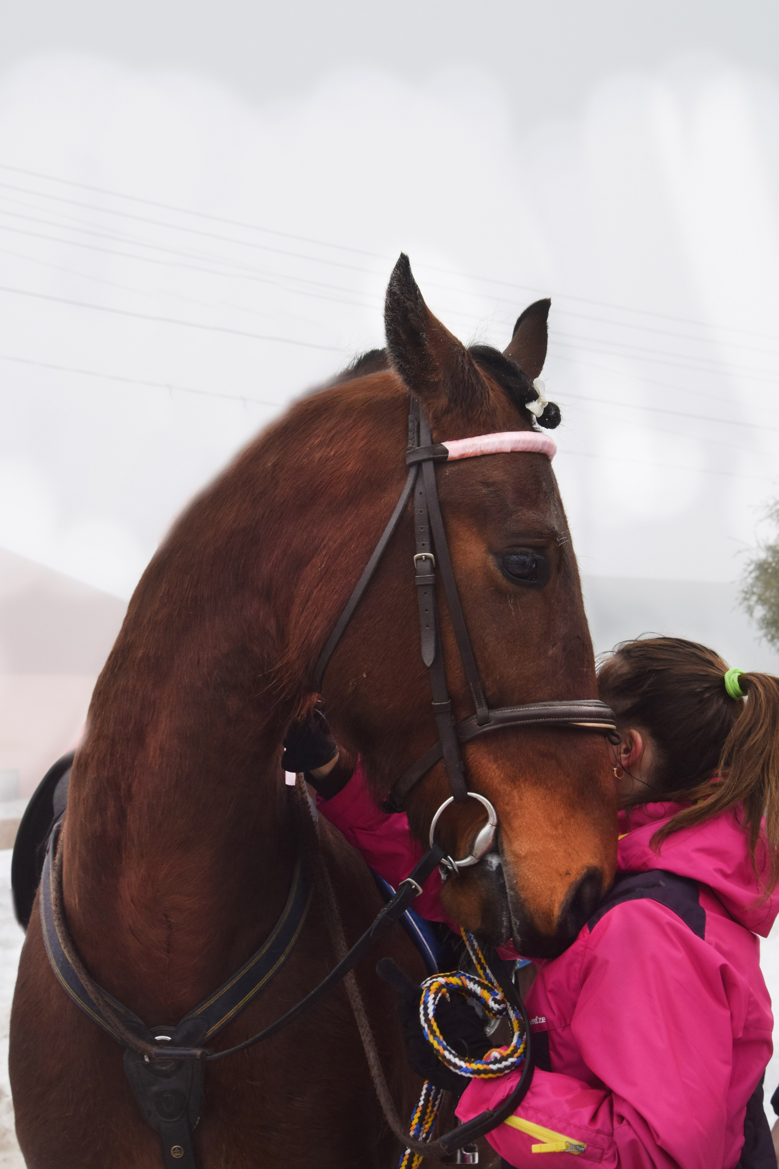 Масленица село Вязовка, 2019–2020 гг. Конный фотограф в Саратове Юлия Иванова