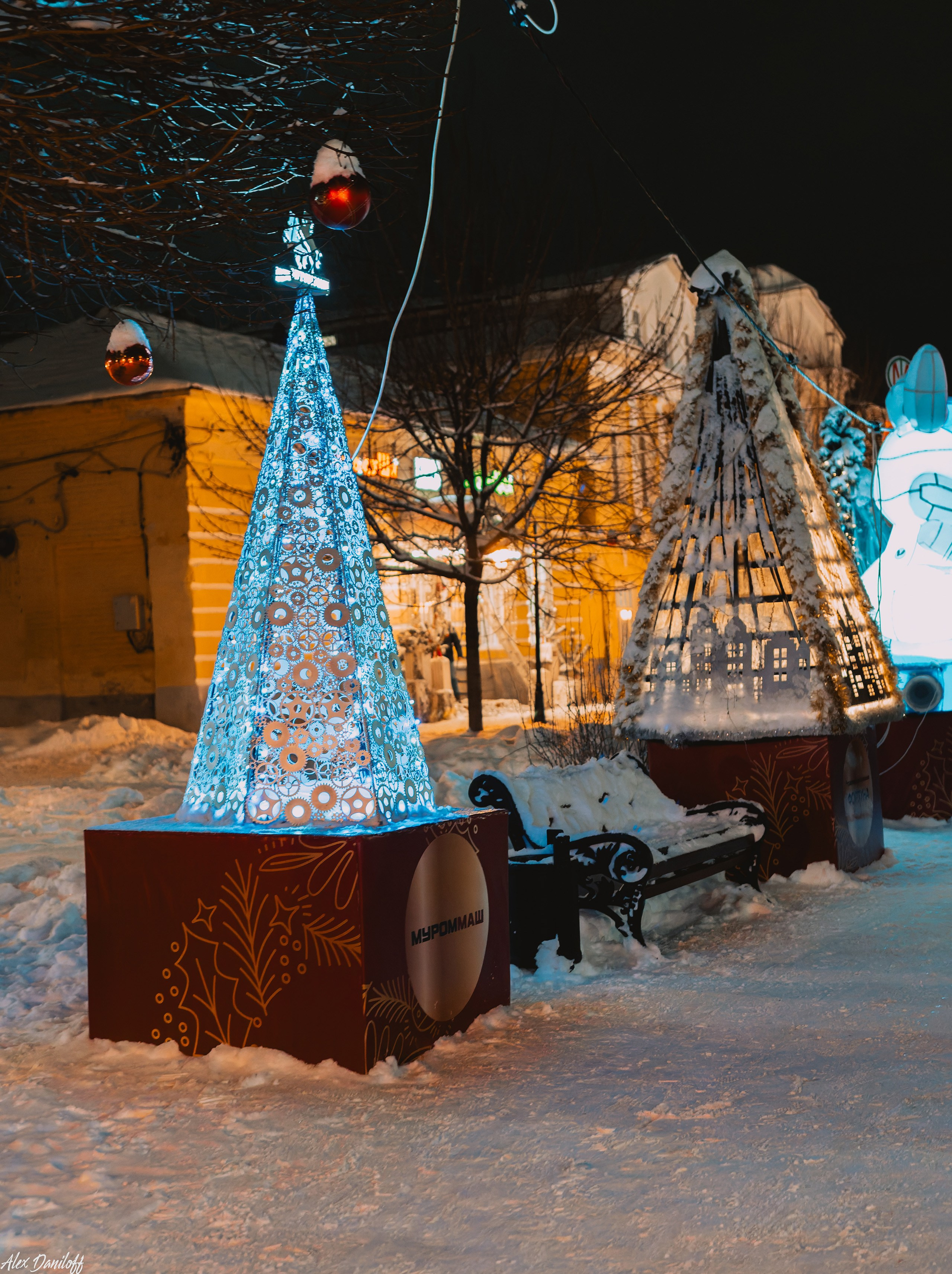 Елки 2025. Муром-Инфо. Новости культуры, образования, спорта в городе Муром