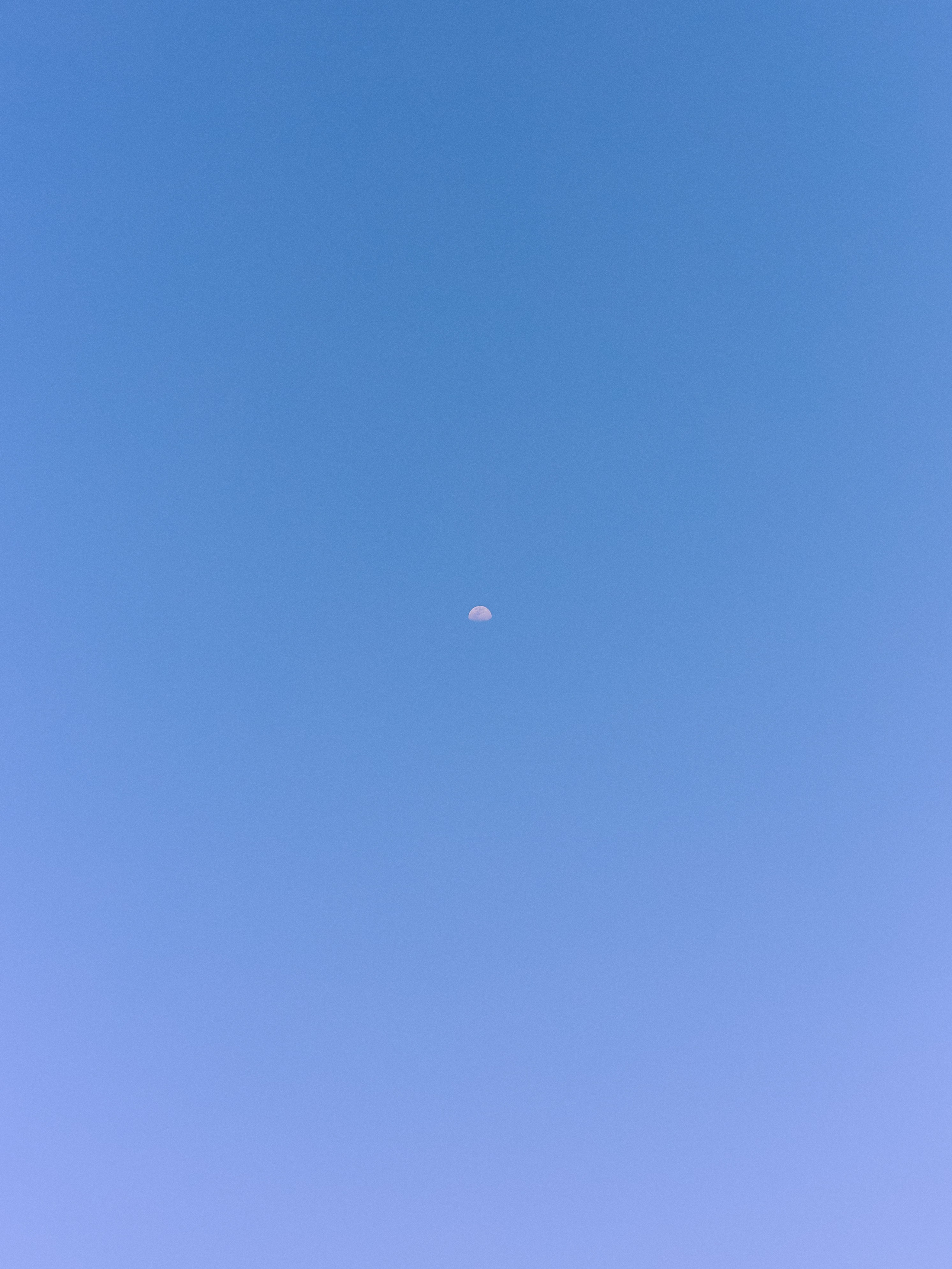 Другое 2. Jorgis Talè — photographer, kind person, teacher of arts and other mag