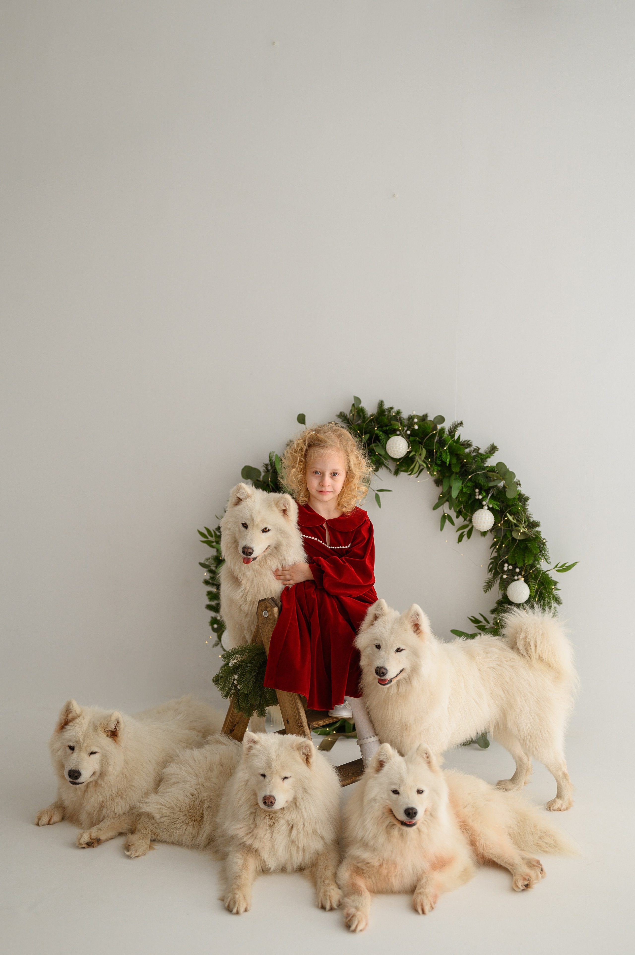 Лизонька и самоеды. Детский и семейный фотограф Ирина Гладких