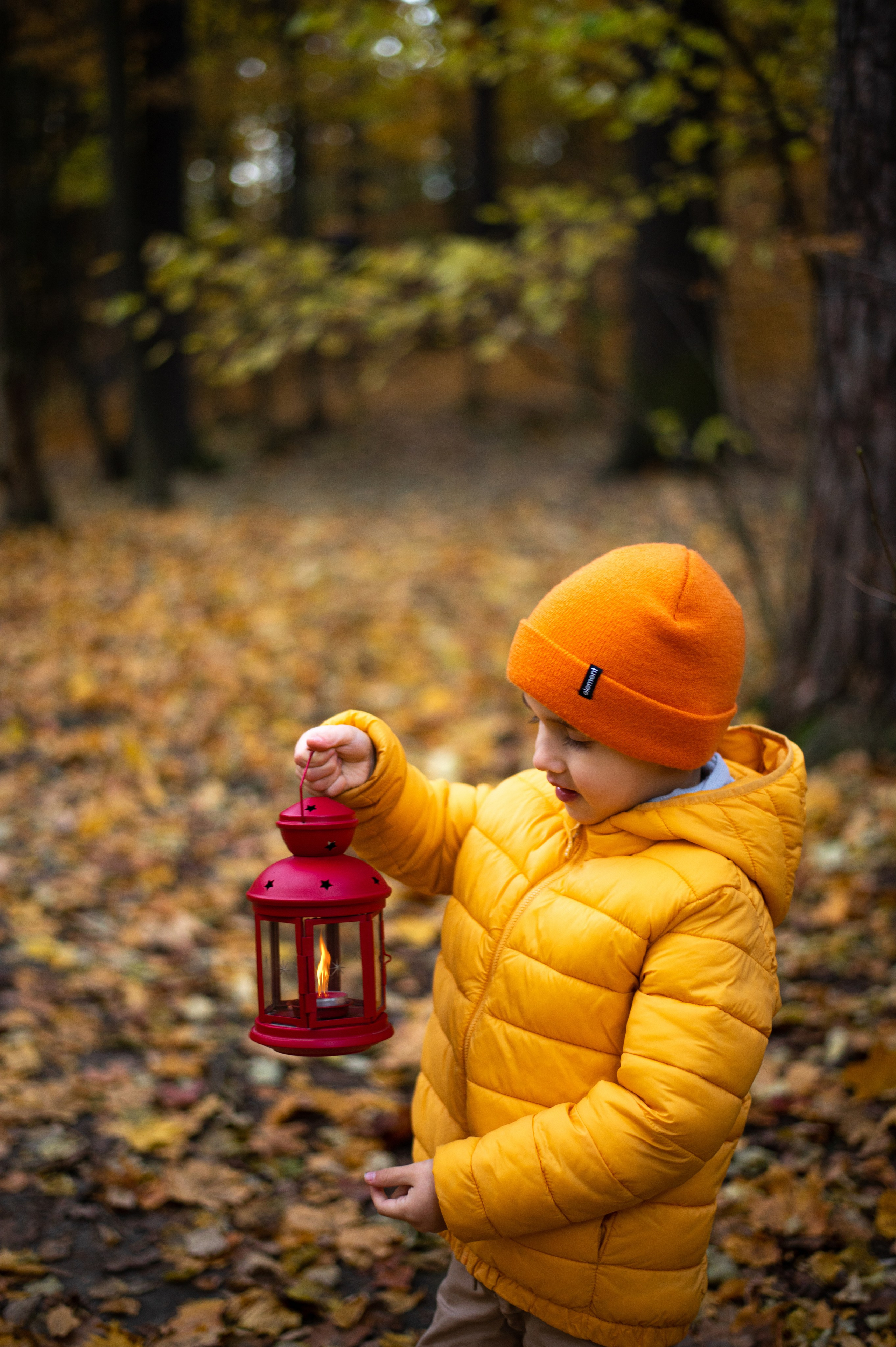 Осень в Шуваловском парке. Фотограф Санкт-Петербург | Дарья Першина